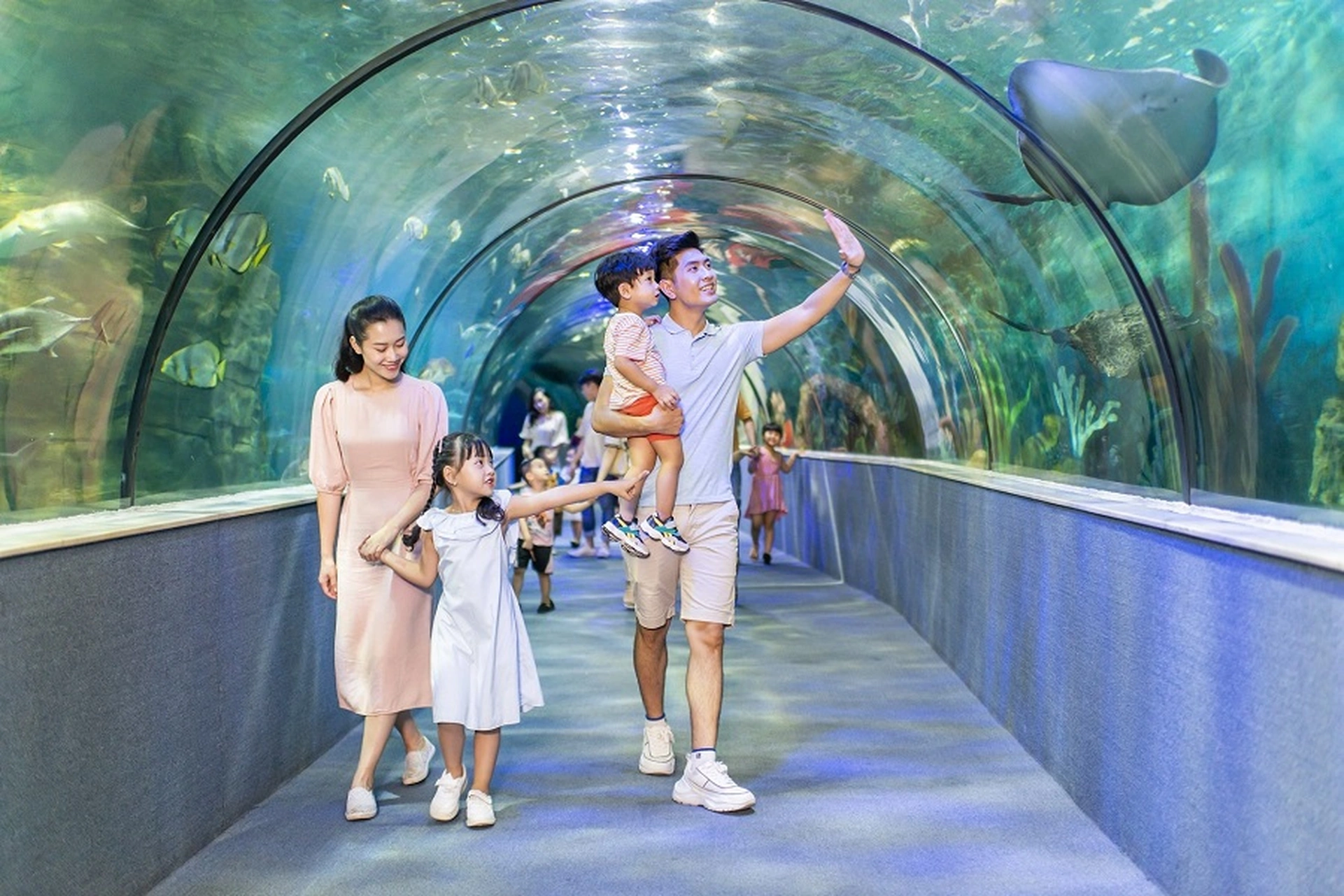 Từ chung cư Green Pearl đến thủy cung Times City bao nhiêu km?