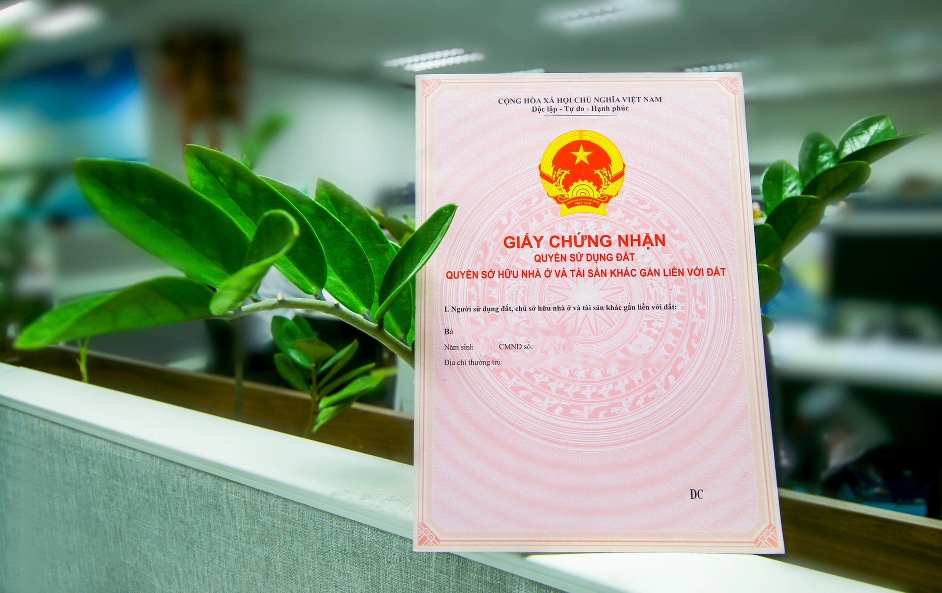 Con có được đứng tên chung với cha mẹ trên sổ hồng không?