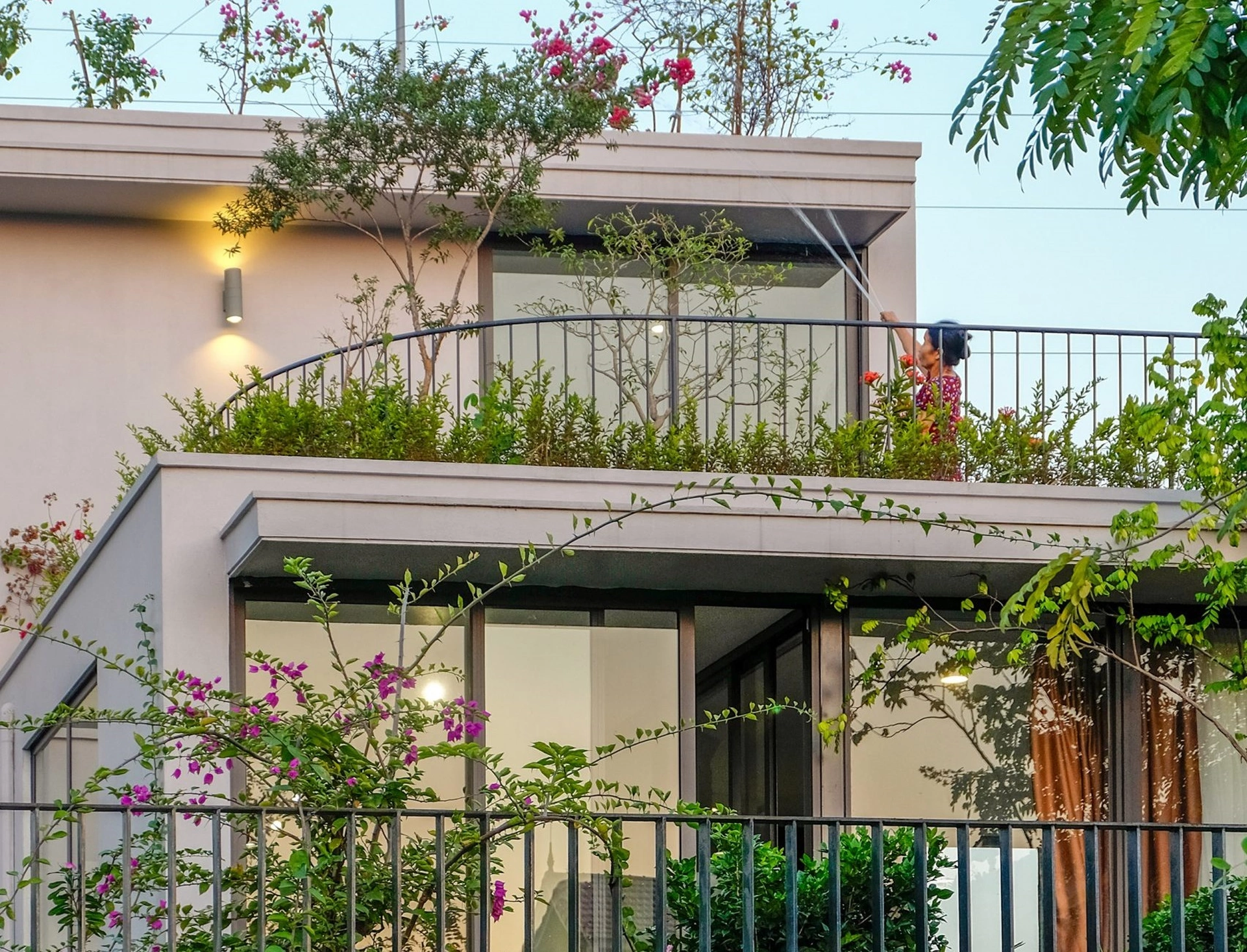 5 loại cây không thích hợp để trồng ở ban công, các gia chủ cần lưu ý