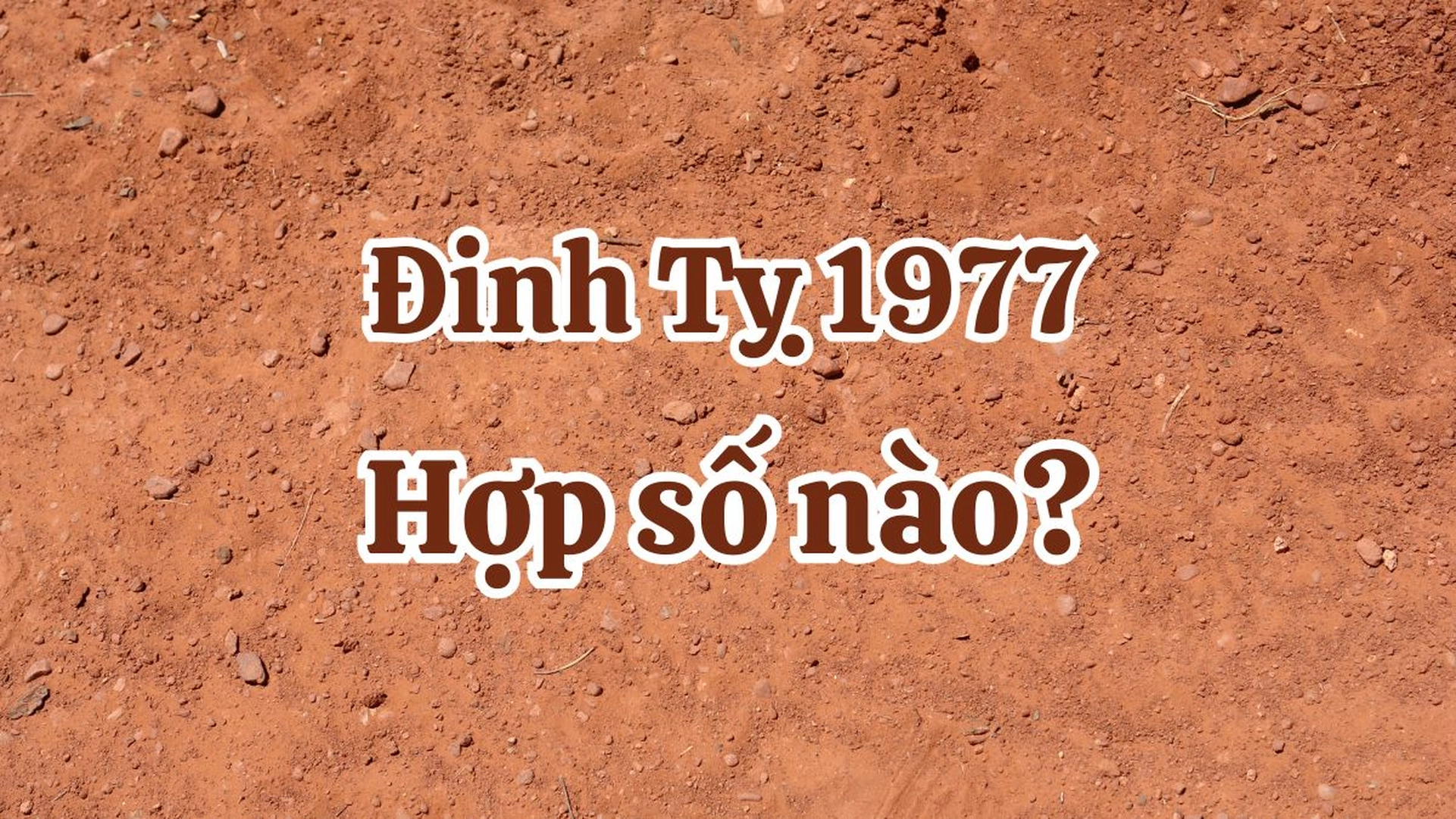 Tuổi Đinh Tỵ 1977 nam mạng, nữ mạng hợp với những con số nào?