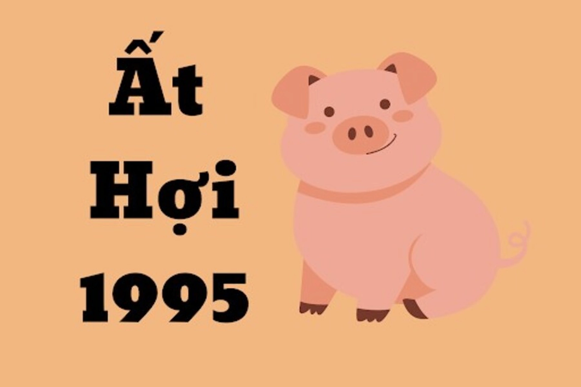 Ngày tốt tháng 12 năm 2024 để làm mọi việc thuận lợi, suôn sẻ cho người sinh năm 1995 Ất Hợi