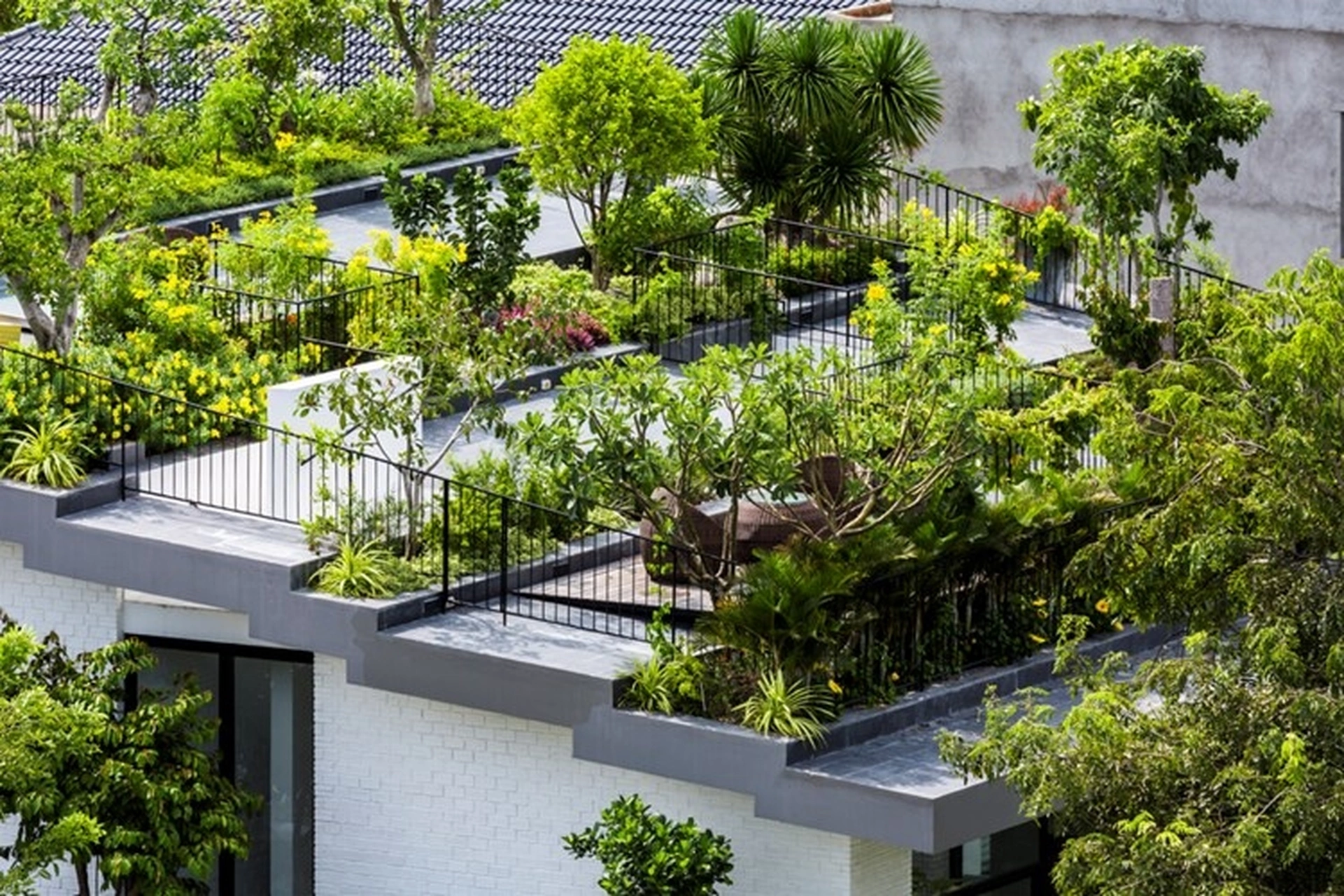 Vì sao trồng cây xanh giúp tiết kiệm điện trong ngày hè nắng nóng?