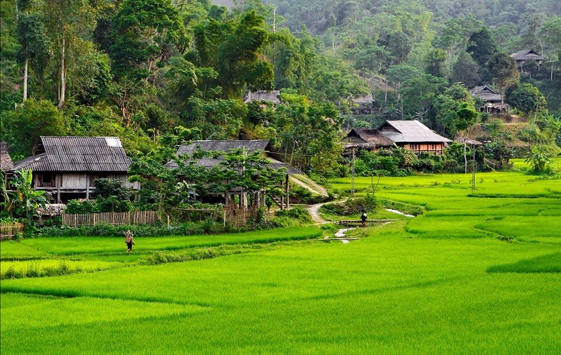 Cập nhật bản đồ quy hoạch huyện Vân Hồ Sơn La mới nhất