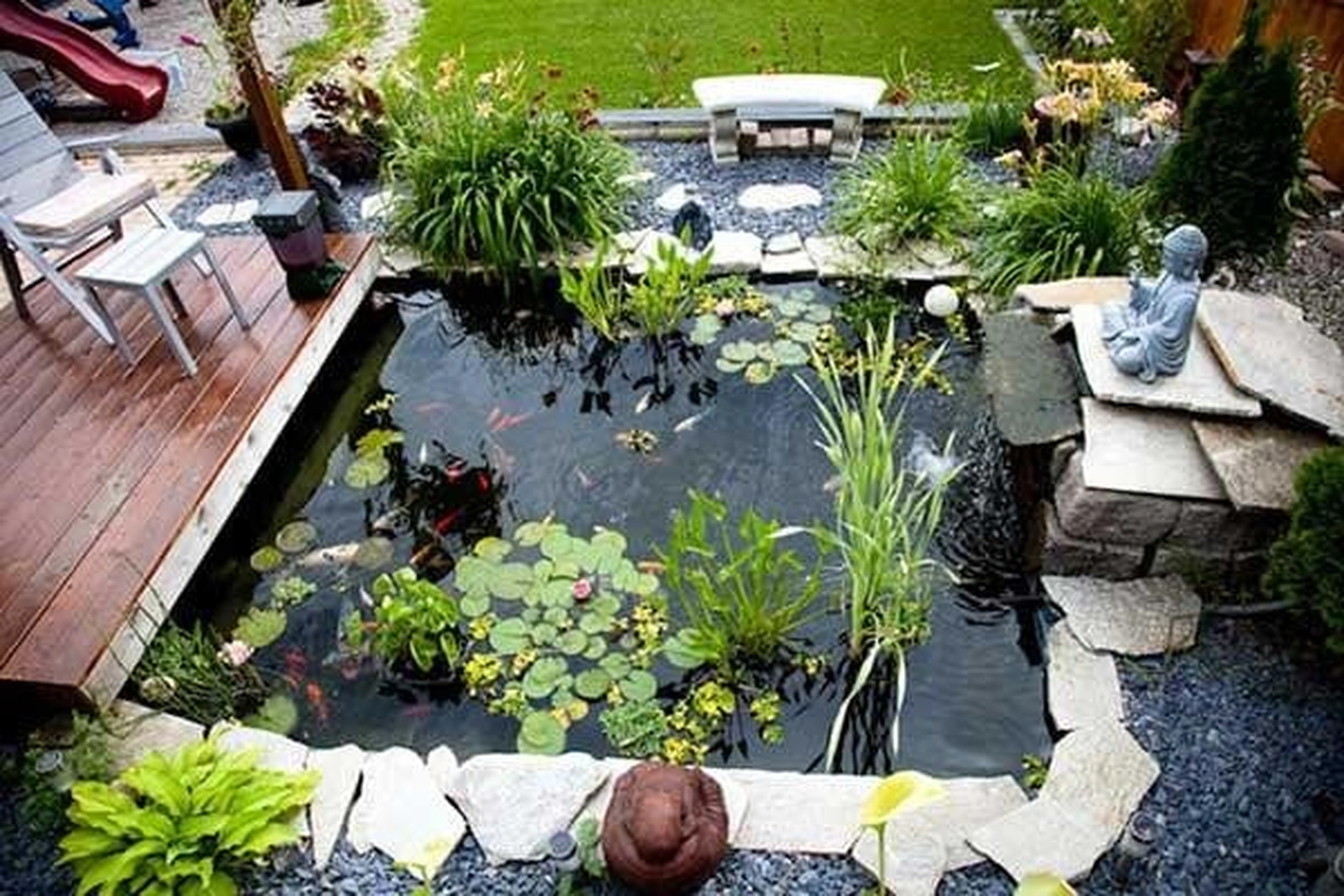 Top 5 loại cây giúp hạ nhiệt căn phòng vào mùa hè