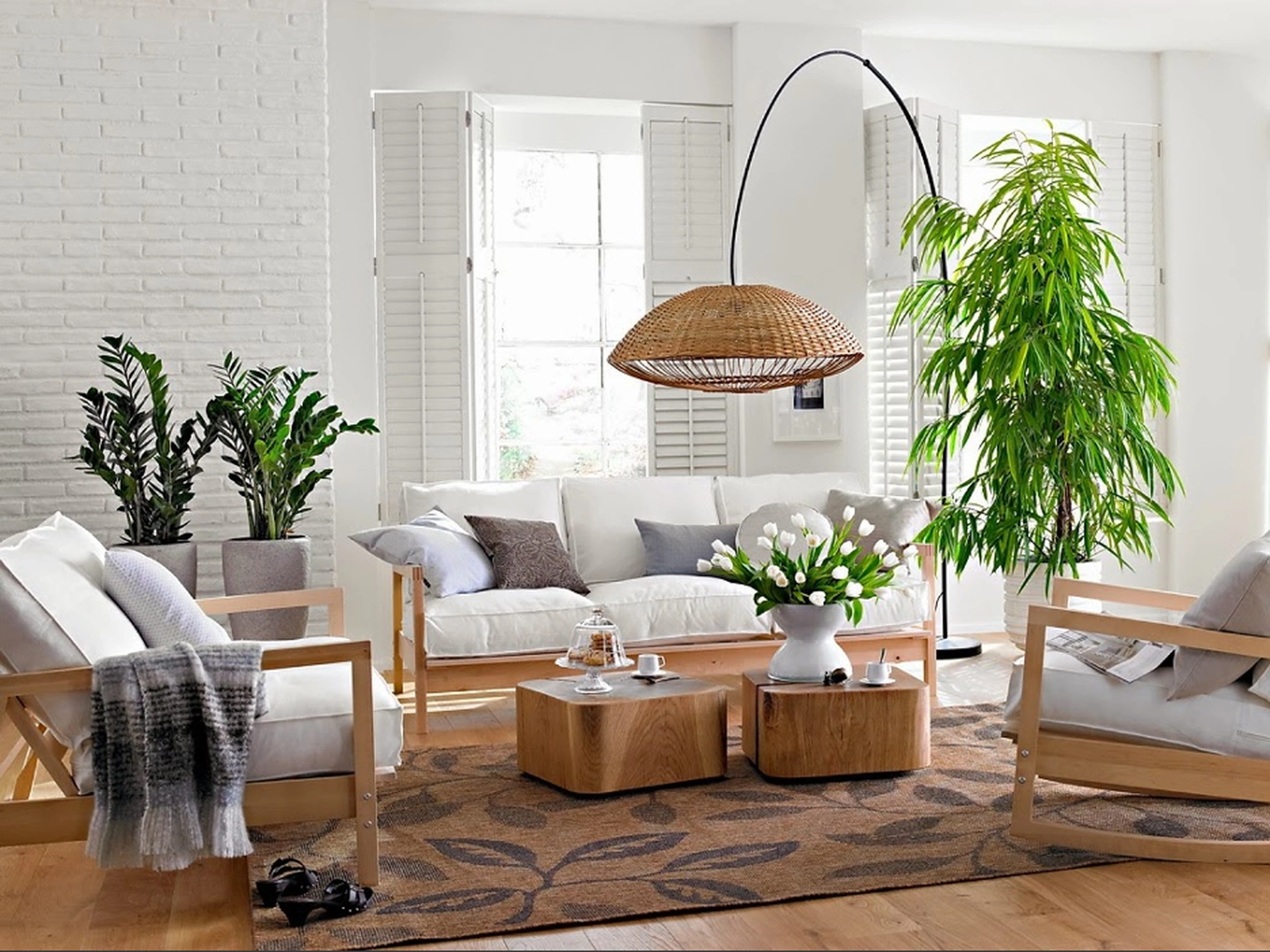Vị trí đặt cây phong thủy cho căn hộ chung cư: Những điều cần biết