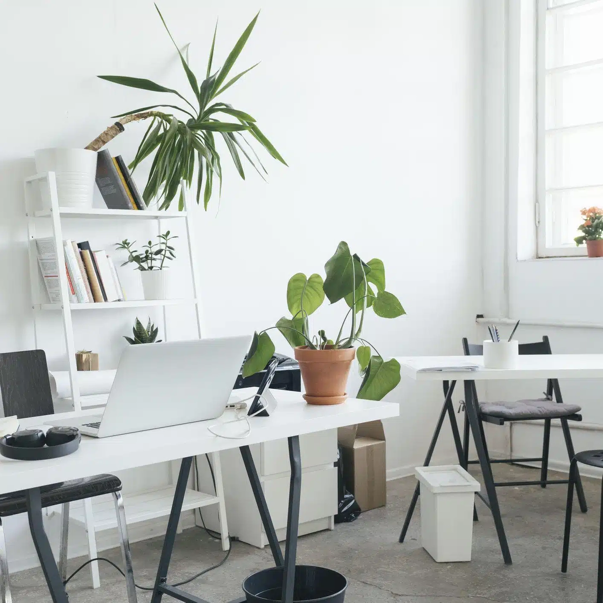Cách chọn mua đồ trang trí cho bàn làm việc tại nhà để hợp phong thủy