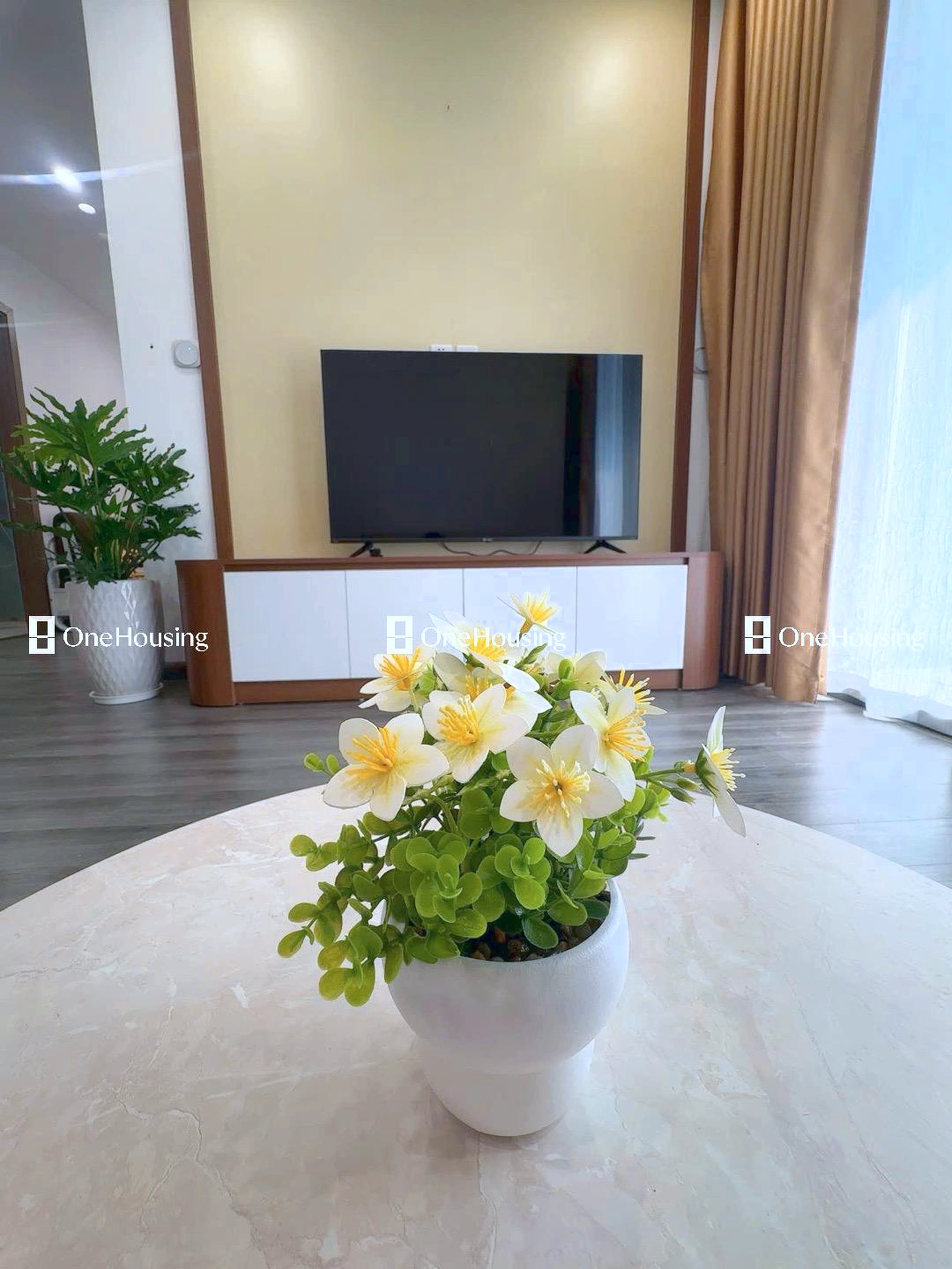 Căn 1PN+ toà R1.05 - The Zenpark - Vinhomes Ocean Park