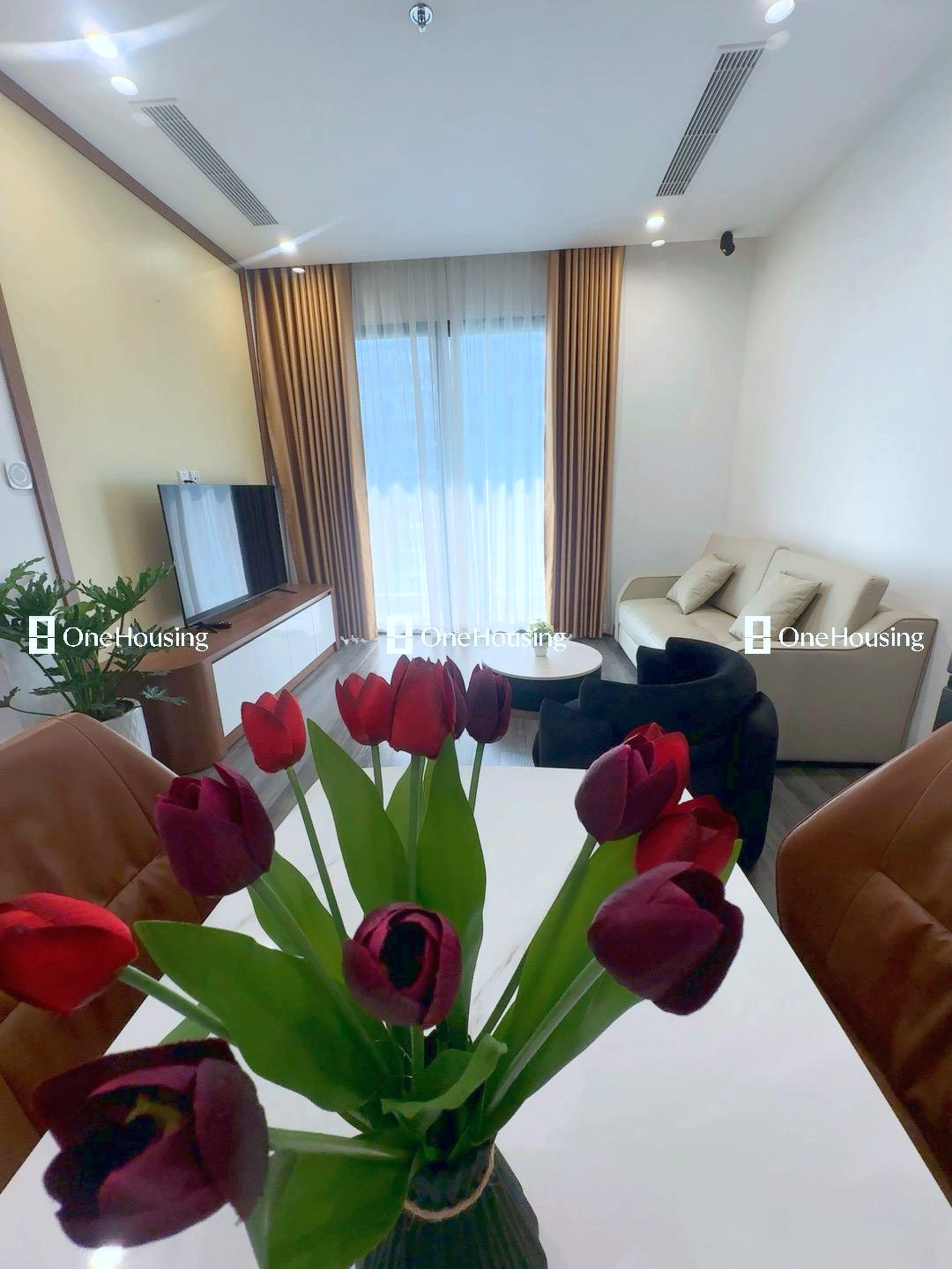 Căn 1PN+ toà R1.05 - The Zenpark - Vinhomes Ocean Park