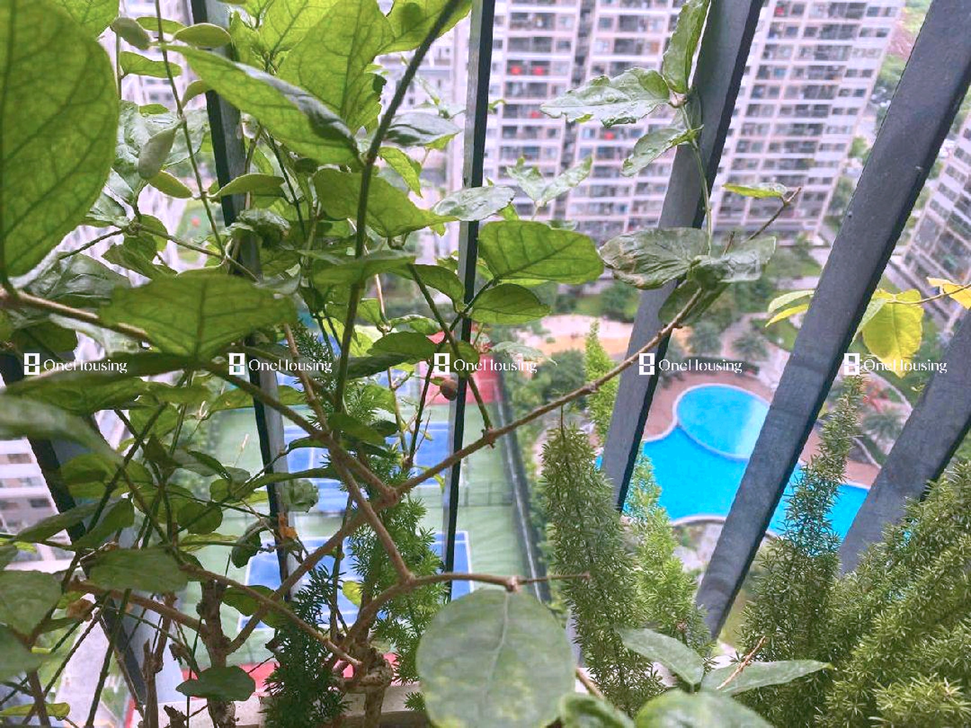 Căn 2PN+ toà S1.02 - The Sapphire - Vinhomes Smart City