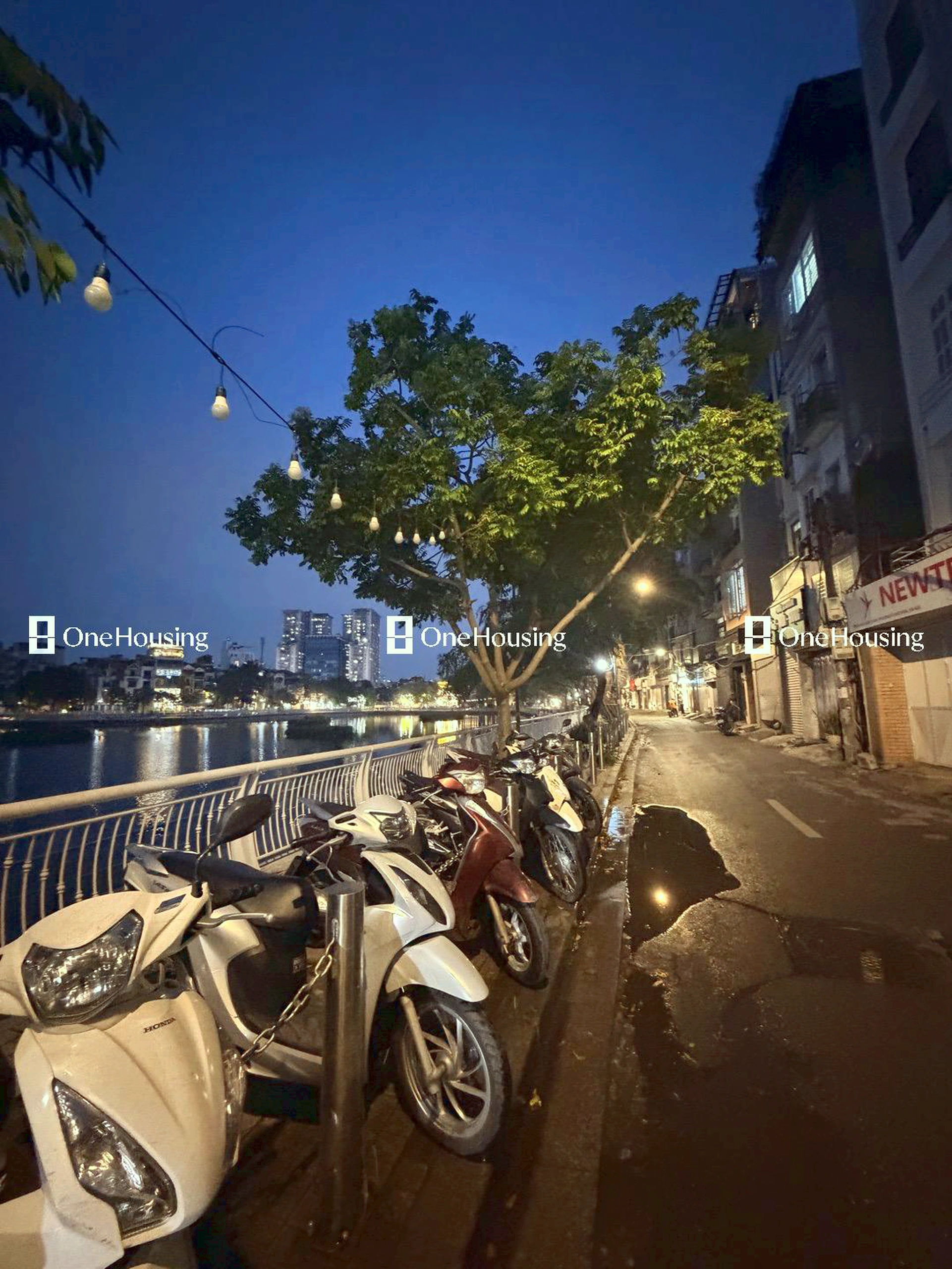Nhà mặt phố Mai Anh Tuấn, P. Ô Chợ Dừa, Q. Đống Đa, TP. Hà Nội