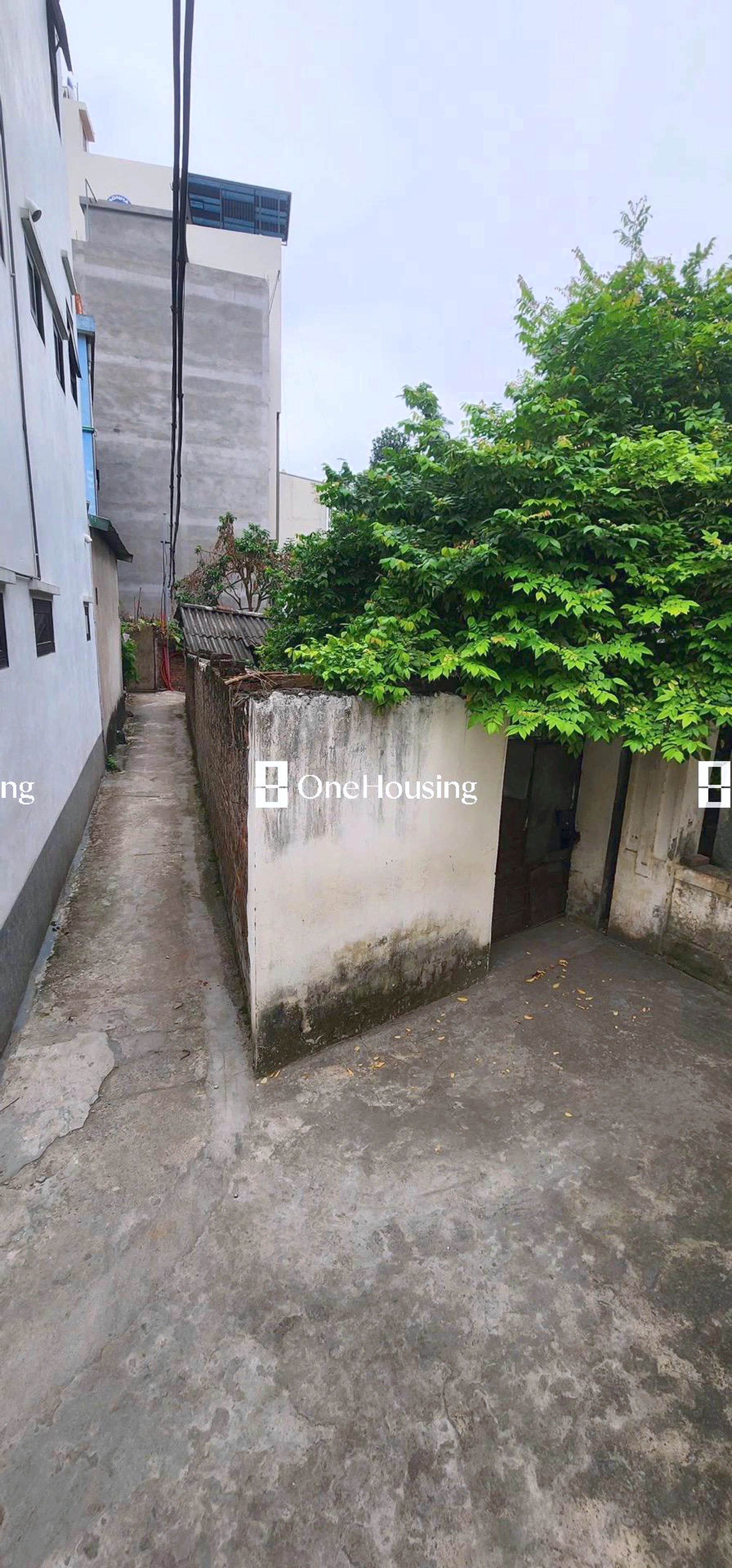 Đất nền cách Kim Quan Thượng 30m, P. Việt Hưng, Q. Long Biên, TP. Hà Nội