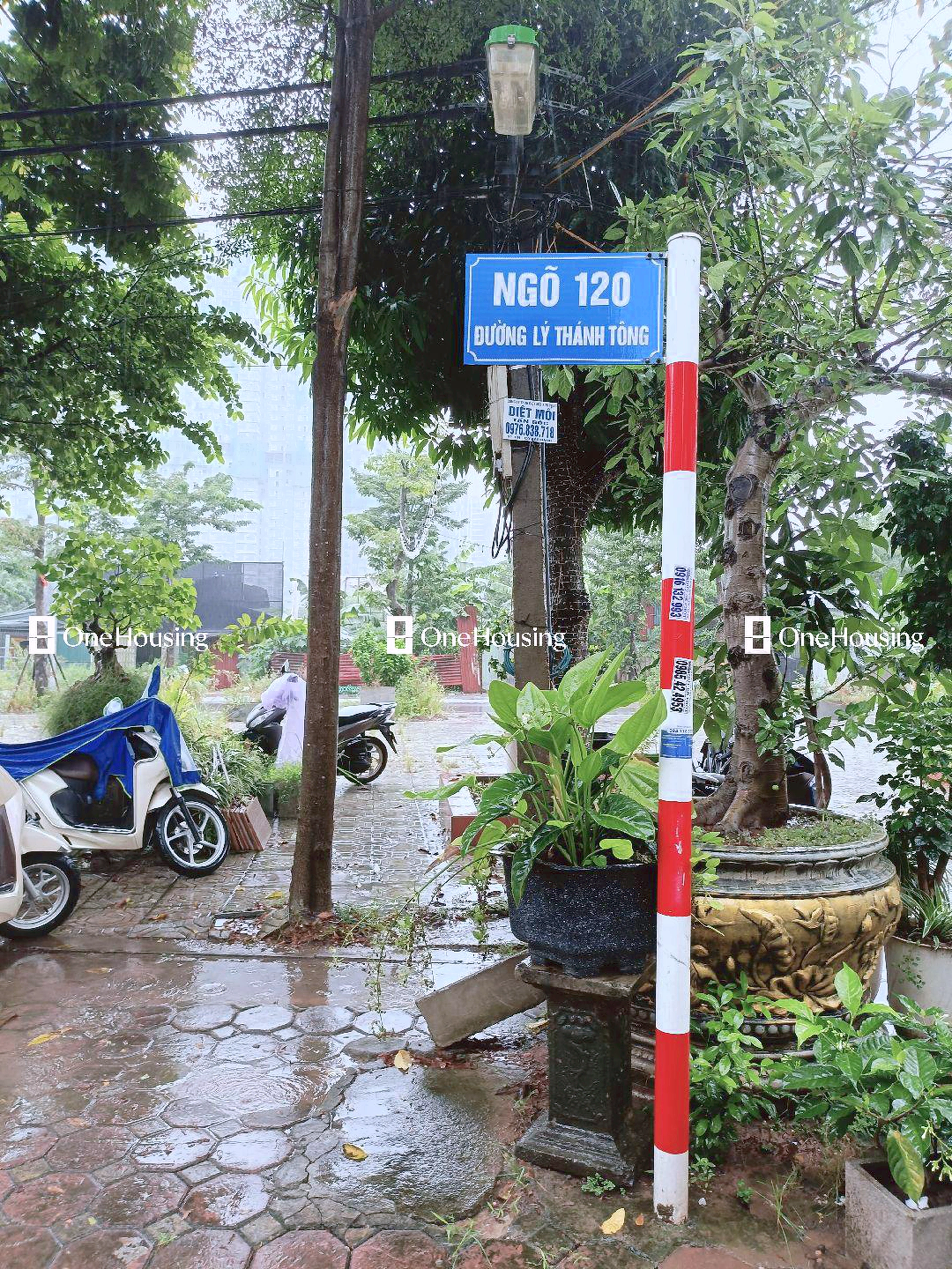 Nhà mặt ngõ cách Lý Thánh Tông 25m, TT. Trâu Quỳ, H. Gia Lâm, TP. Hà Nội