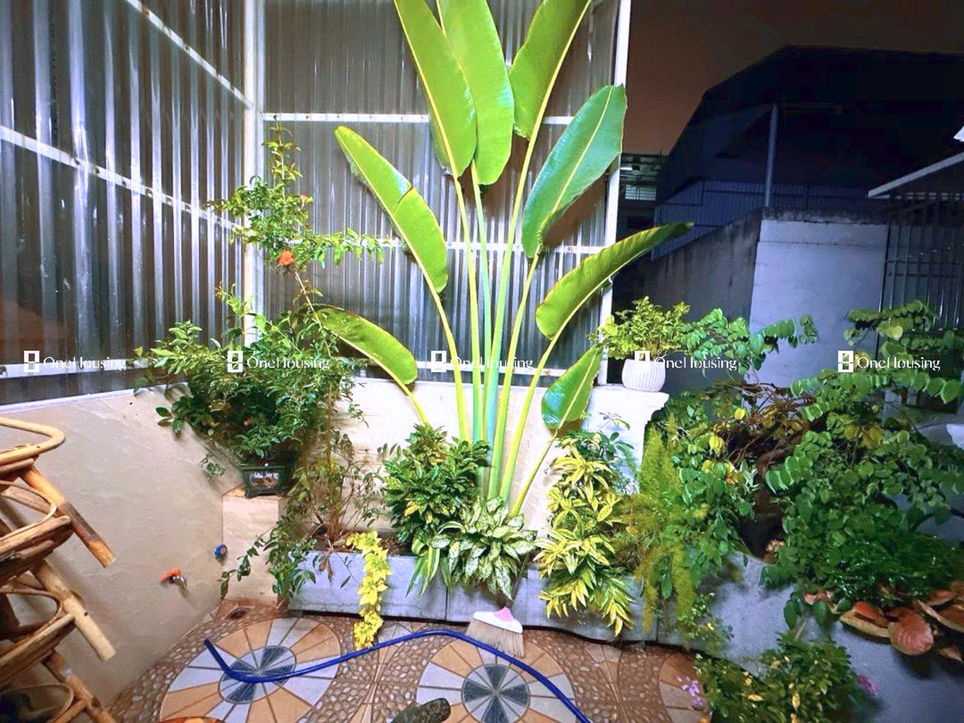 Nhà mặt ngõ cách Doãn Kế Thiện 20m, P. Mai Dịch, Q. Cầu Giấy, TP. Hà Nội