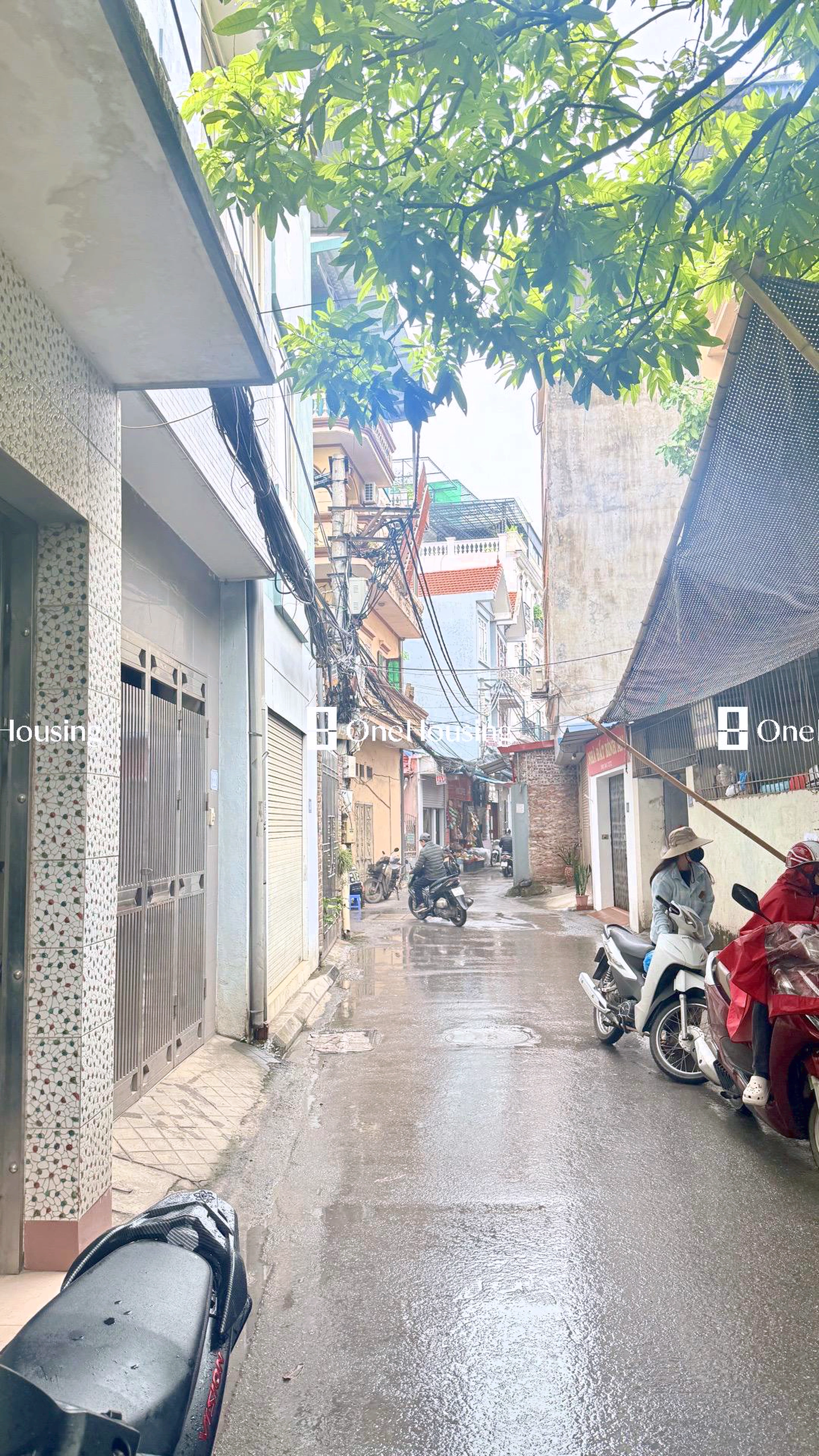 Đất nền cách Đàm Quang Trung 50m, P. Long Biên, Q. Long Biên, TP. Hà Nội