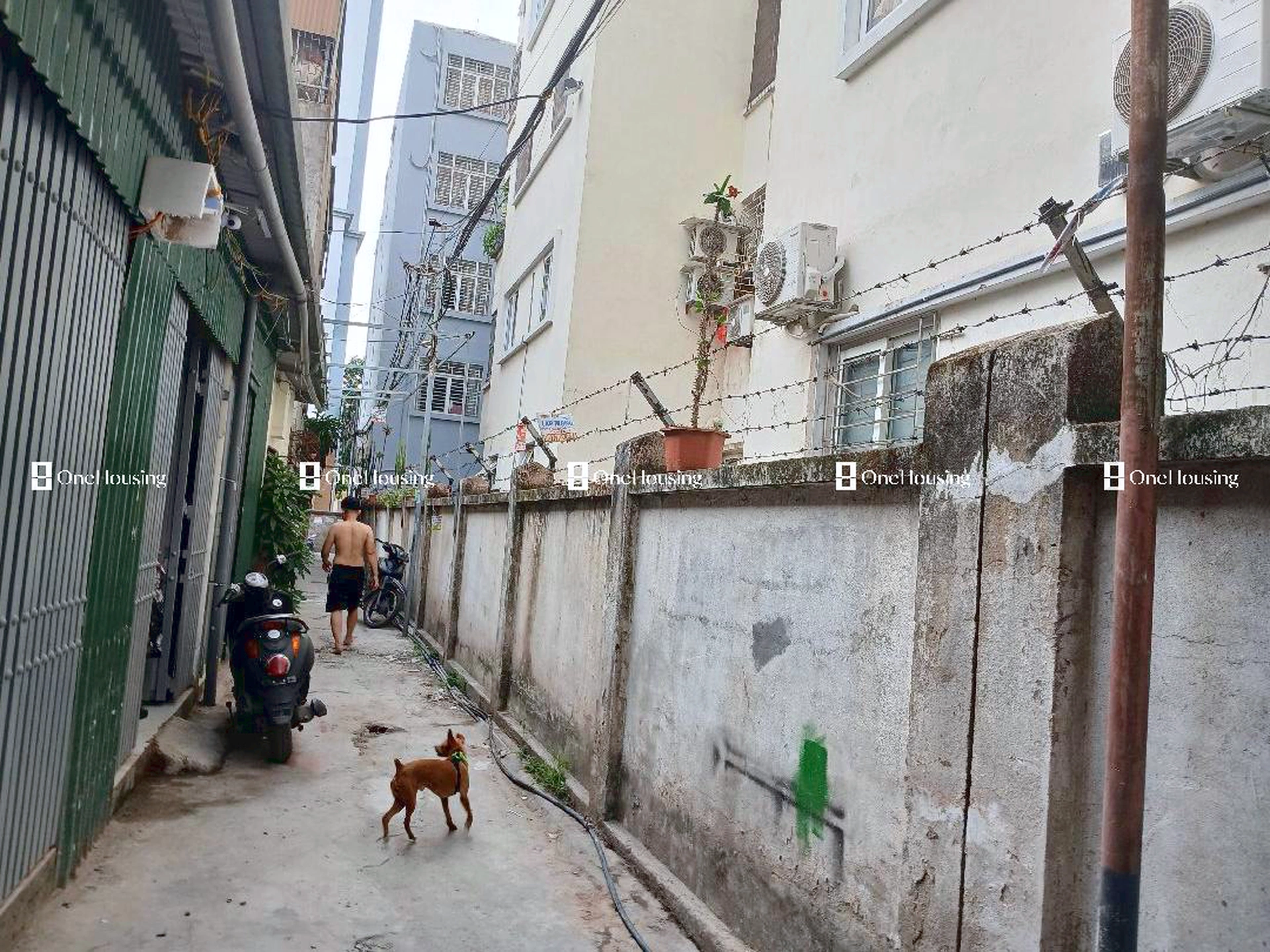 Onehousing image