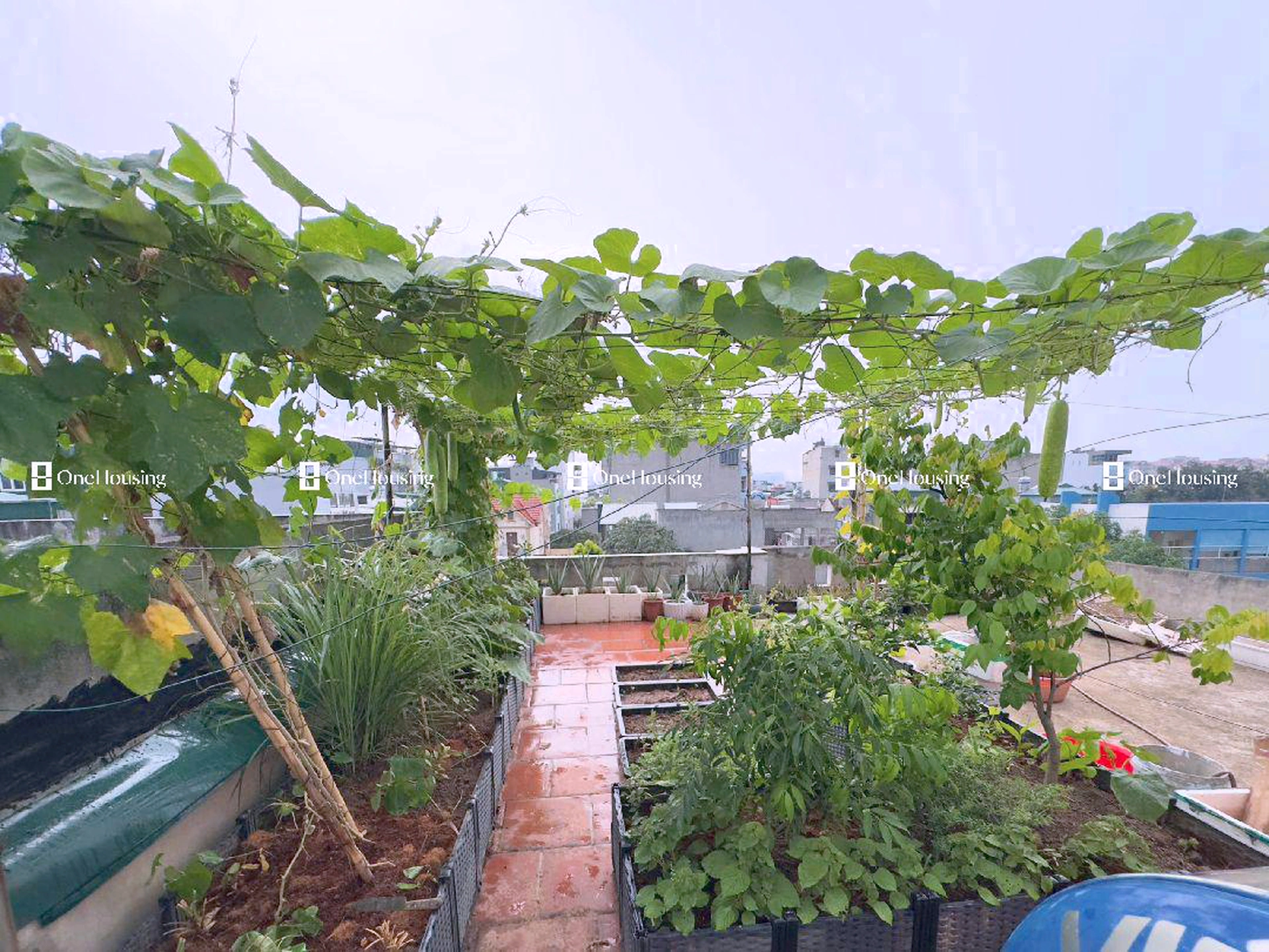 Nhà mặt ngõ cách Định Công Thượng 15m, P. Định Công, Q. Hoàng Mai, TP. Hà Nội