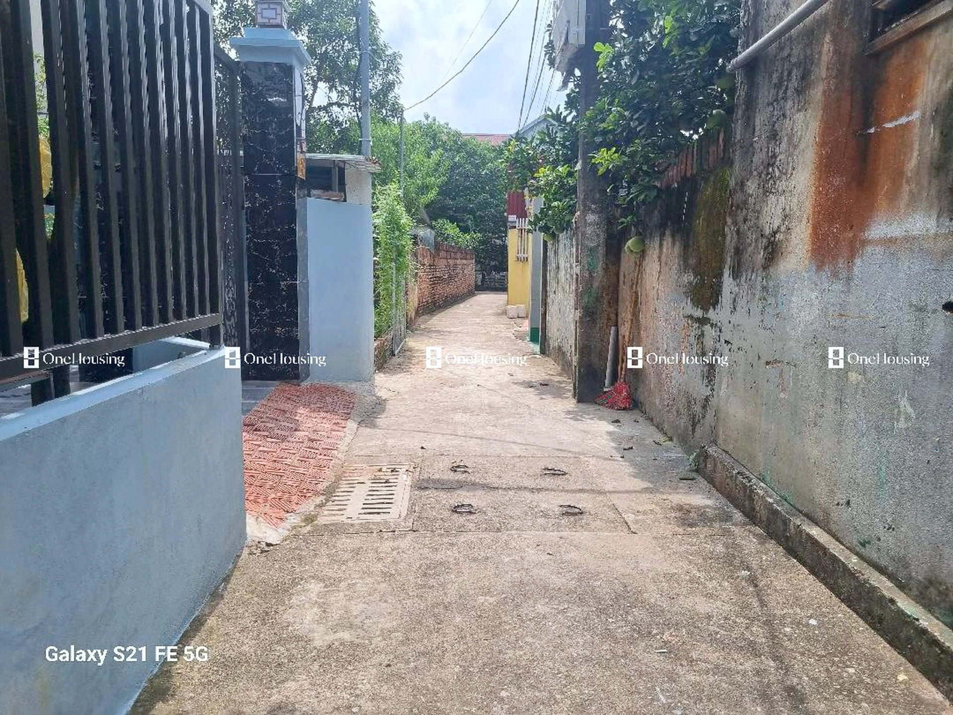 Đất nền cách Đường Ỷ Lan 250m, X. Đặng Xá, H. Gia Lâm, TP. Hà Nội