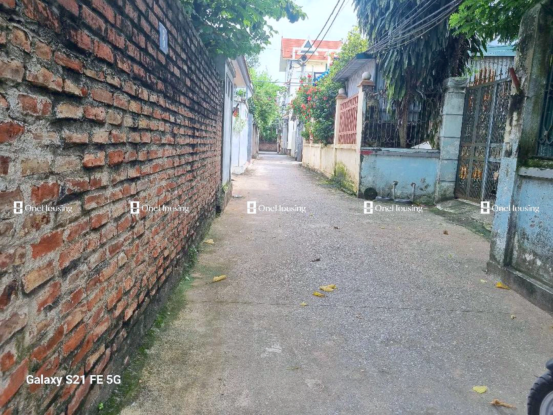 Đất nền cách Đường Ỷ Lan 250m, X. Đặng Xá, H. Gia Lâm, TP. Hà Nội