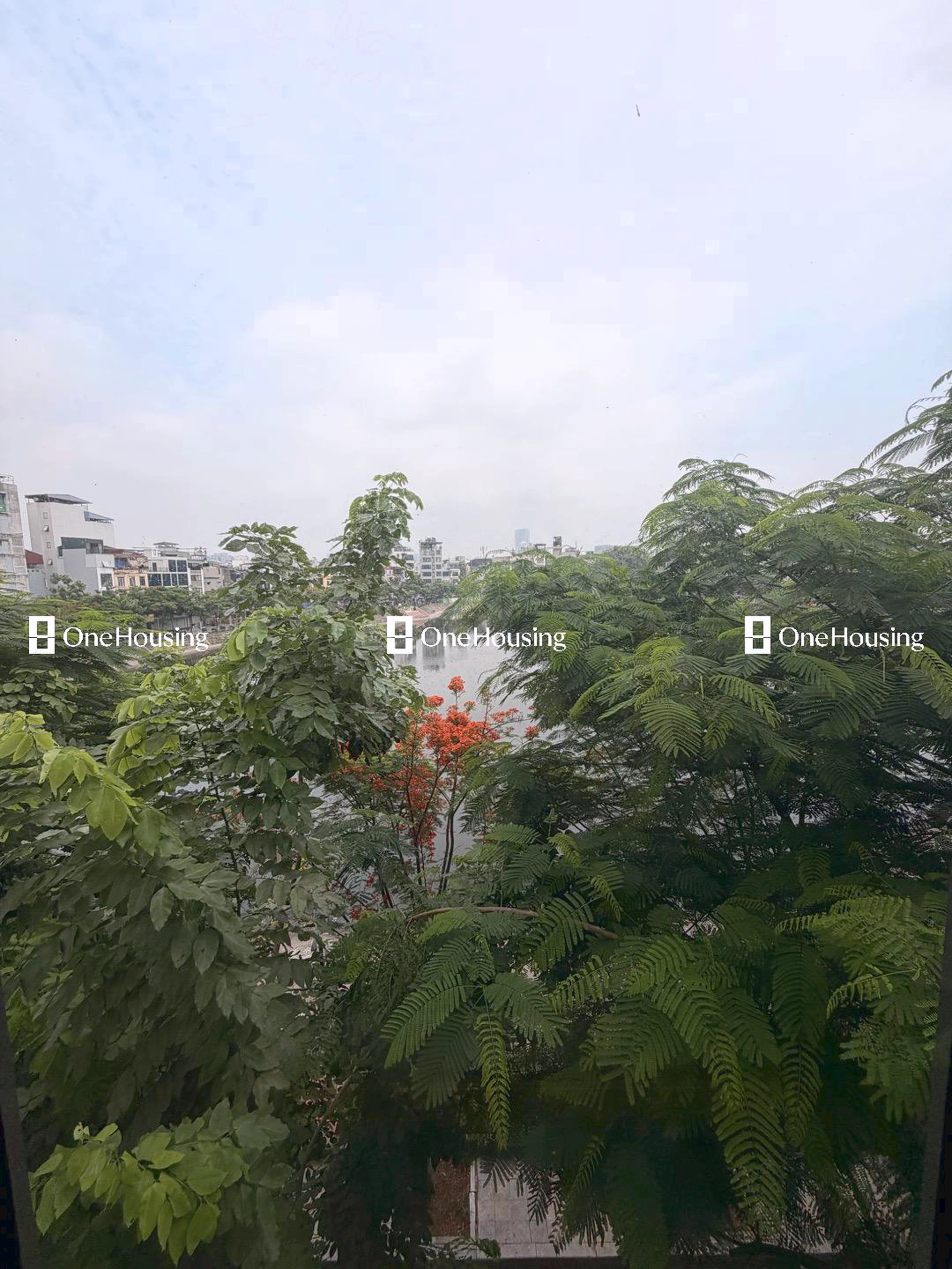 Nhà mặt phố Hồ Linh Quang, P. Văn Miếu, Q. Đống Đa, TP. Hà Nội