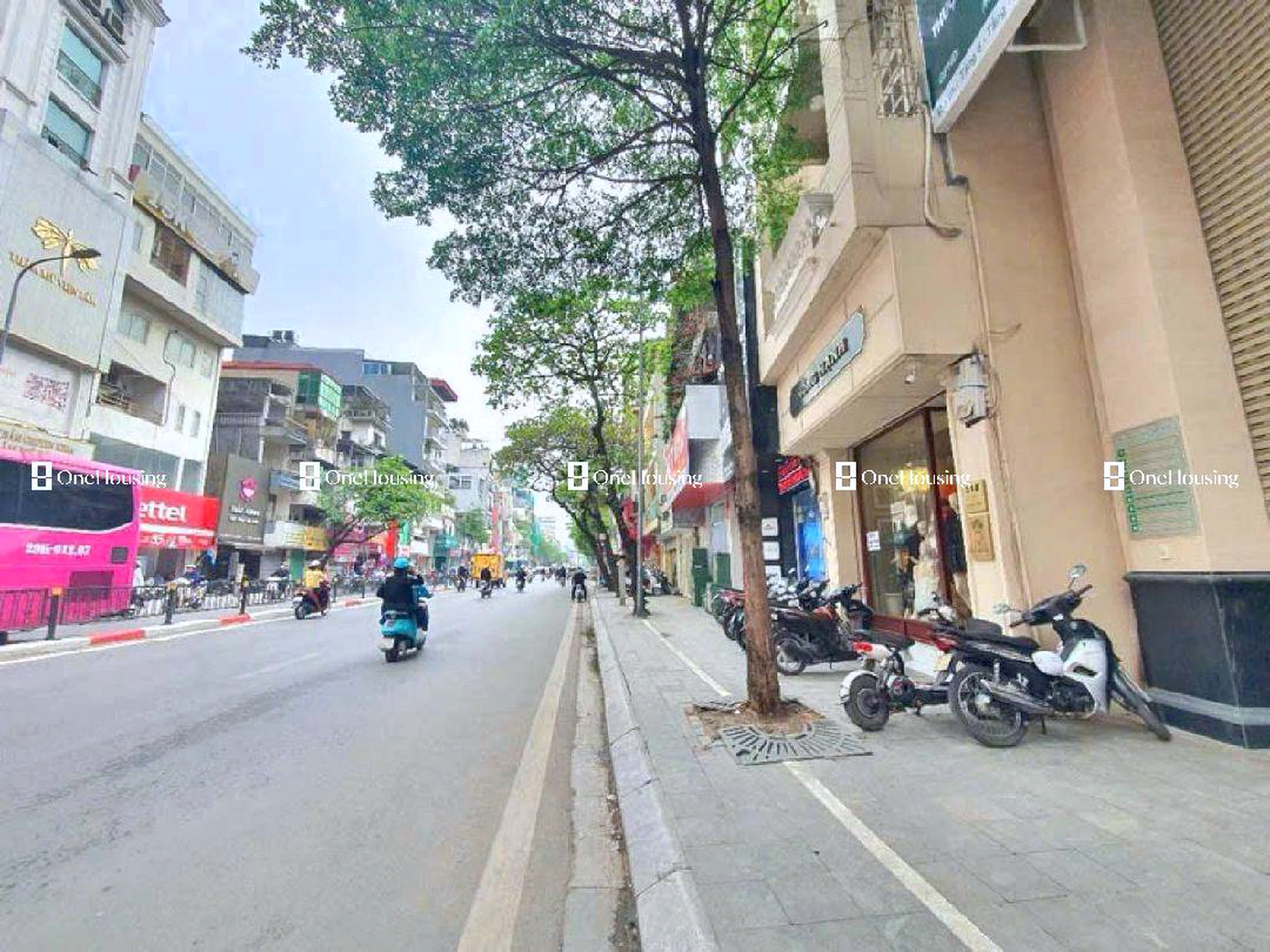 Nhà mặt phố Tôn Đức Thắng, P. Hàng Bột, Q. Đống Đa, TP. Hà Nội