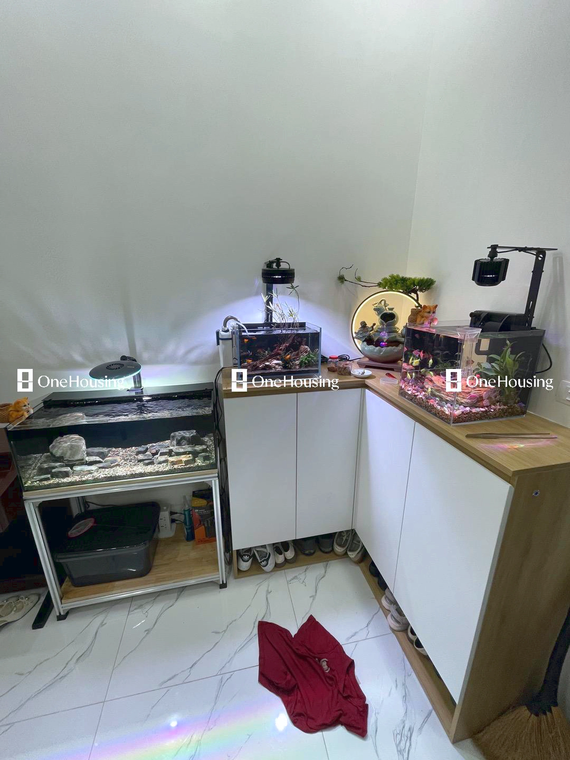 Nhà mặt ngõ cách Phú Mỹ 50m, P. Mỹ Đình 2, Q. Nam Từ Liêm, TP. Hà Nội