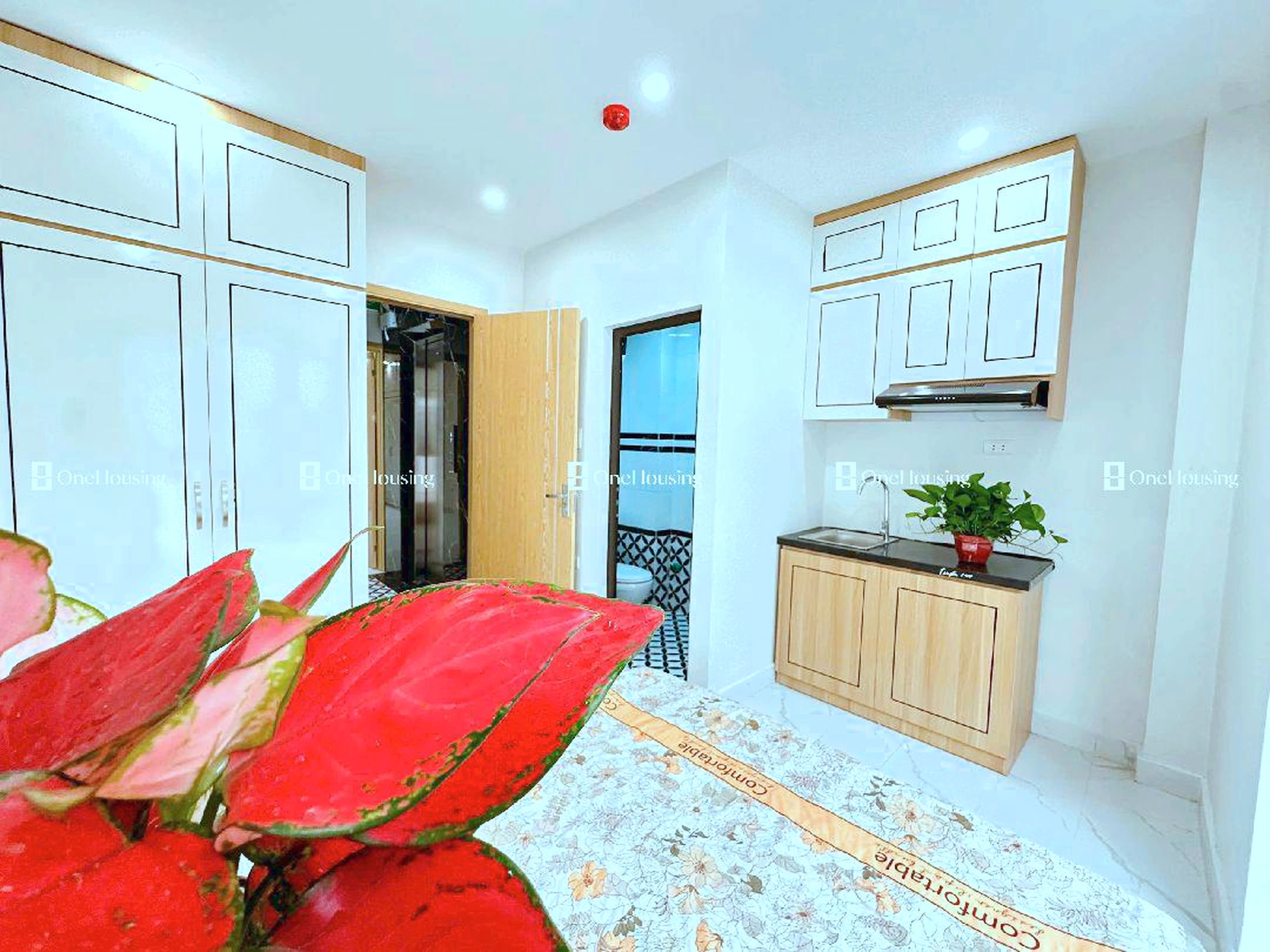 Nhà mặt ngõ cách Mỹ Đình 50m, P. Mỹ Đình 1, Q. Nam Từ Liêm, TP. Hà Nội