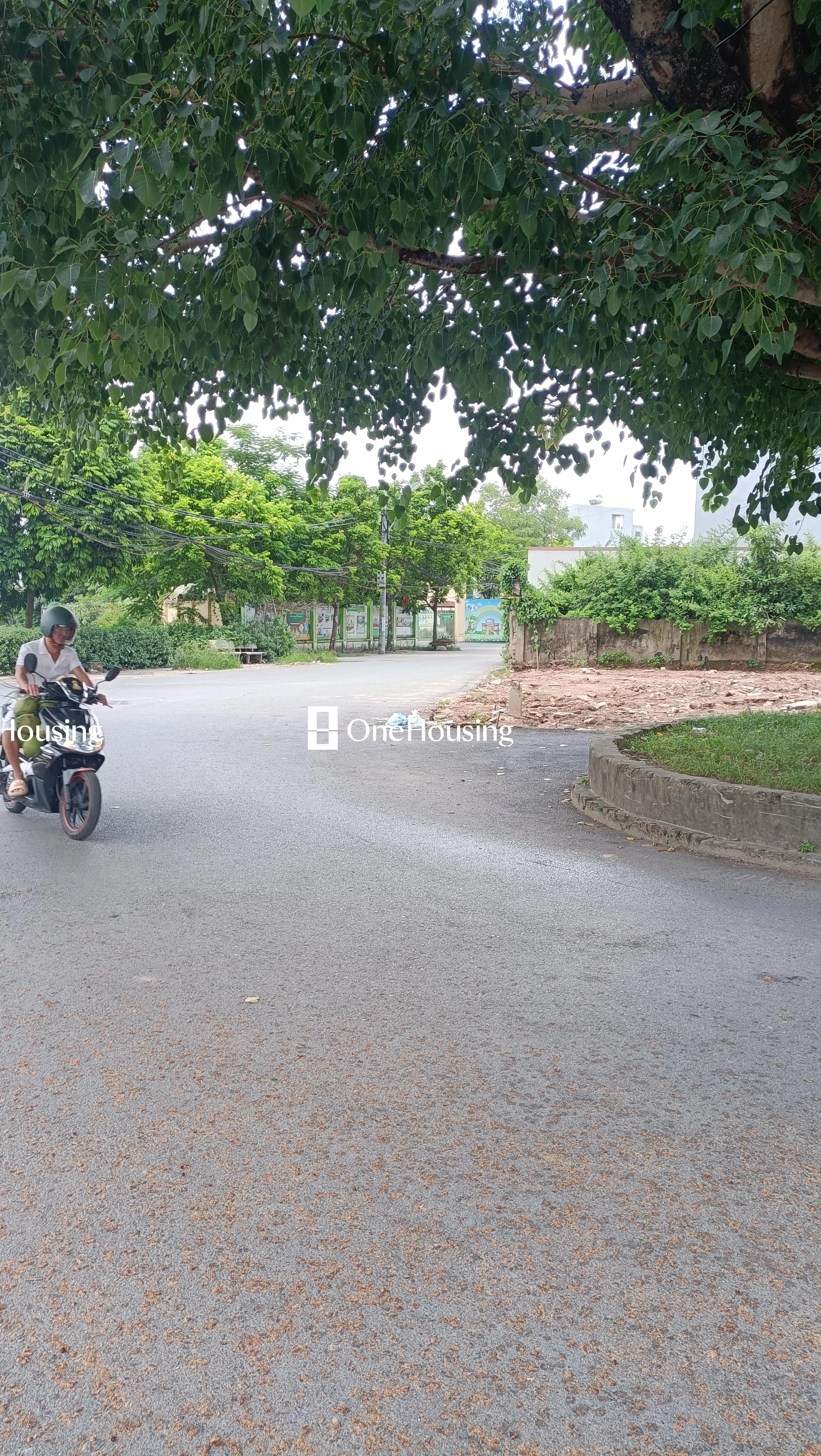 Đất nền cách Đường nối Tứ Hiệp đến Ngũ Hiệp 5m, X. Tứ Hiệp, H. Thanh Trì, TP. Hà Nội