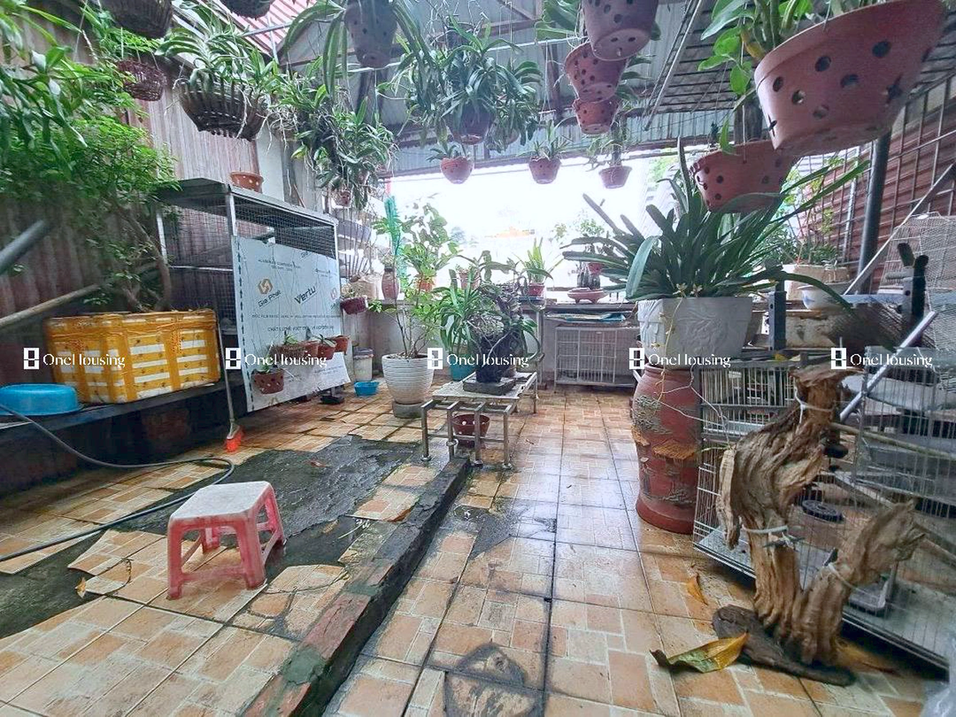 Nhà mặt phố Xã Đàn, P. Nam Đồng, Q. Đống Đa, TP. Hà Nội