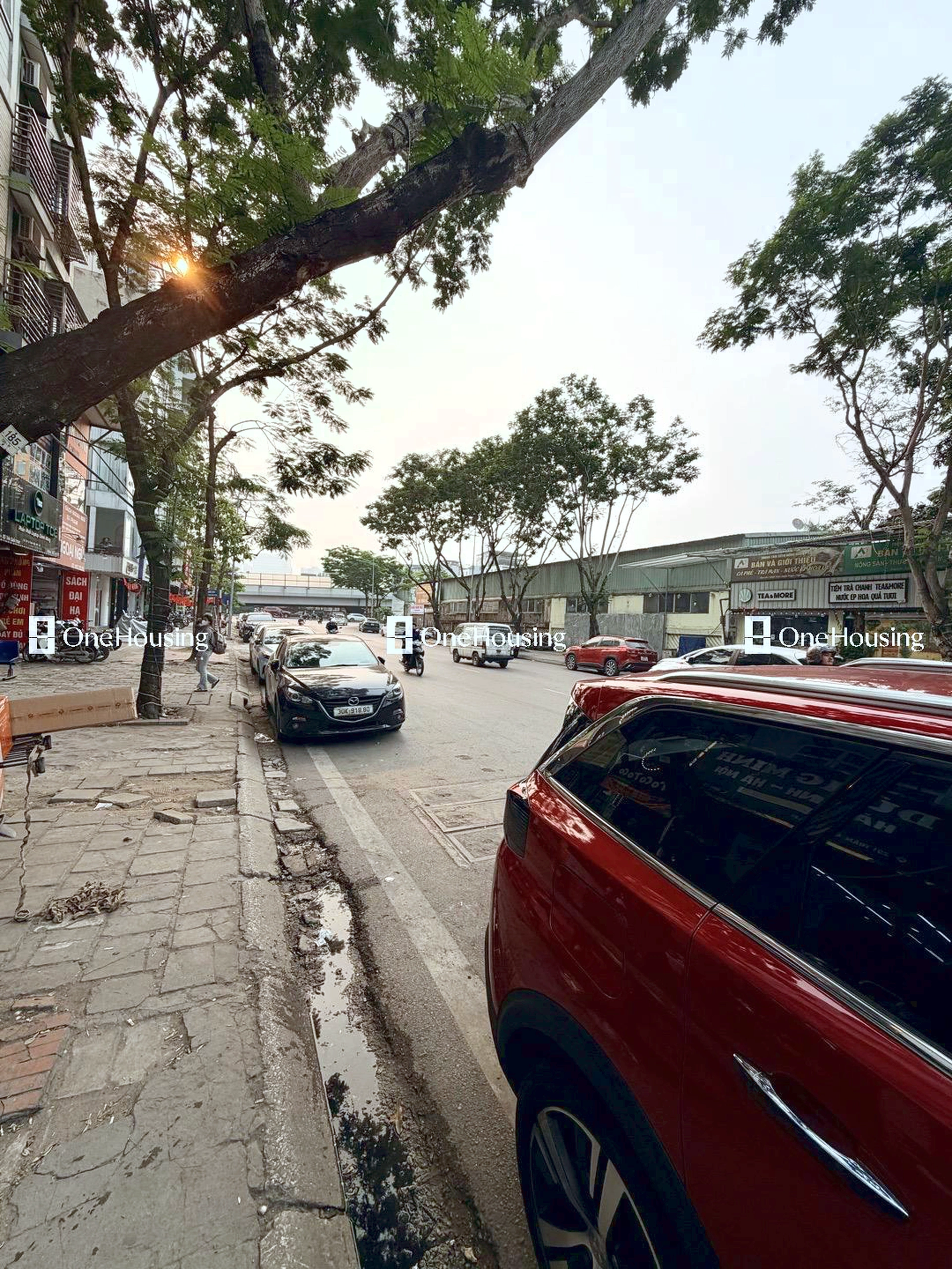 Nhà mặt phố Trần Quốc Hoàn, P. Dịch Vọng Hậu, Q. Cầu Giấy, TP. Hà Nội