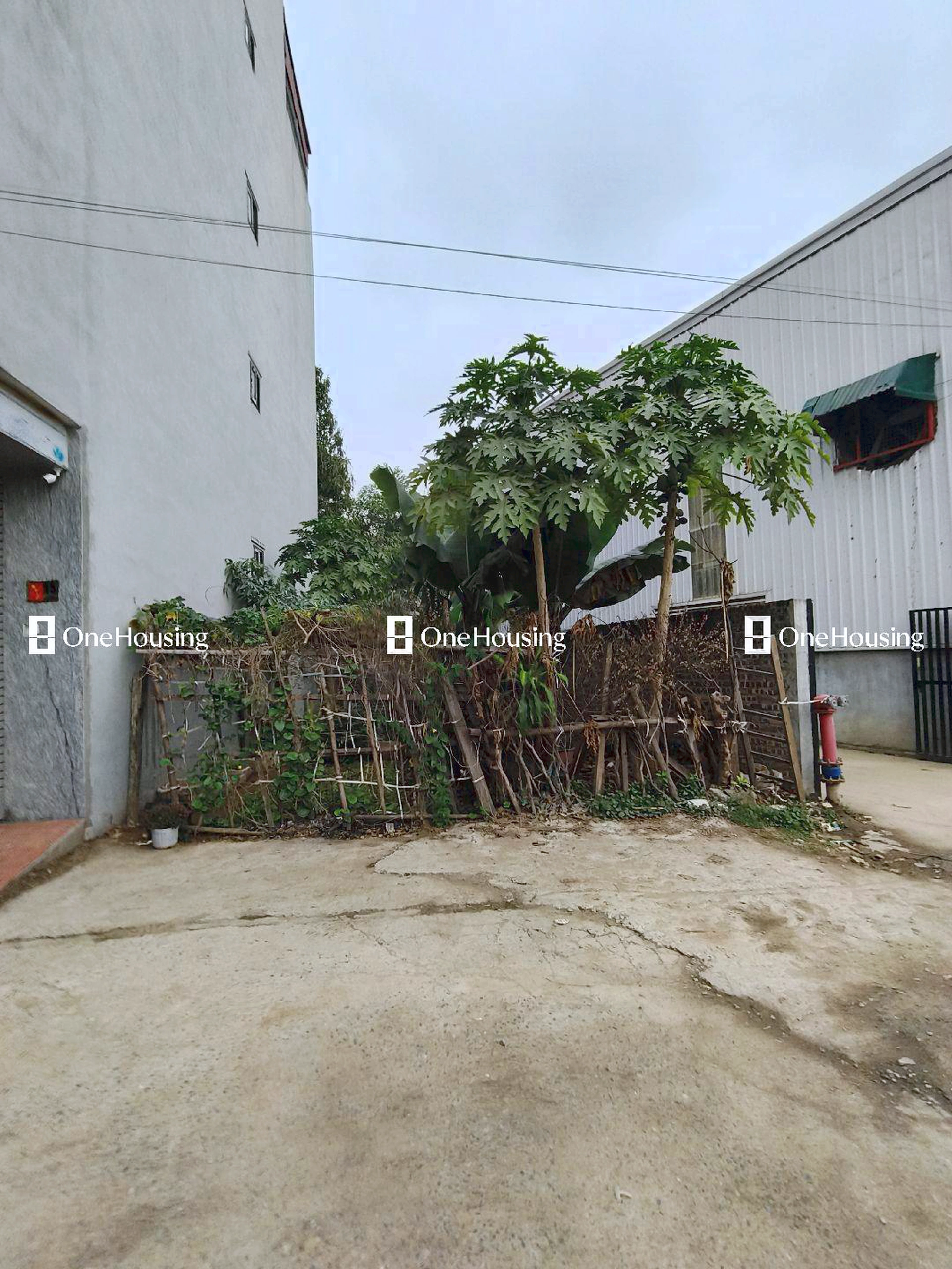 Đất nền Đức Giang, P. Đức Giang, Q. Long Biên, TP. Hà Nội