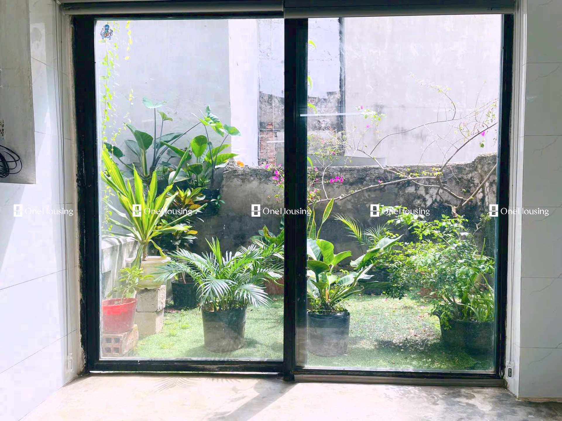 Nhà mặt ngõ cách Đội Cấn 50m, P. Đội Cấn, Quận Ba Đình, TP. Hà Nội