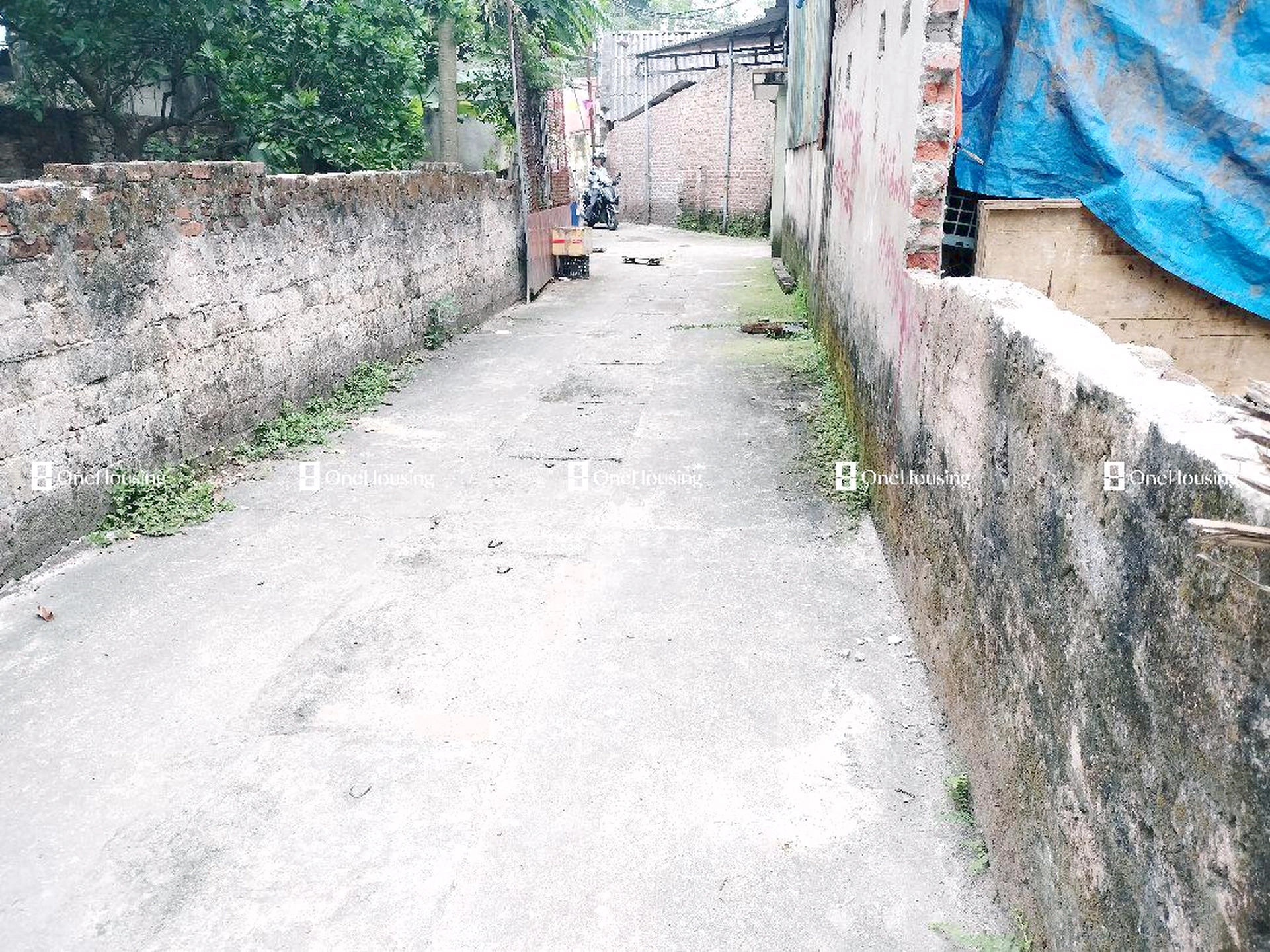 Đất nền cách Phú Mỹ 20m, P. Biên Giang, Q. Hà Đông, TP. Hà Nội