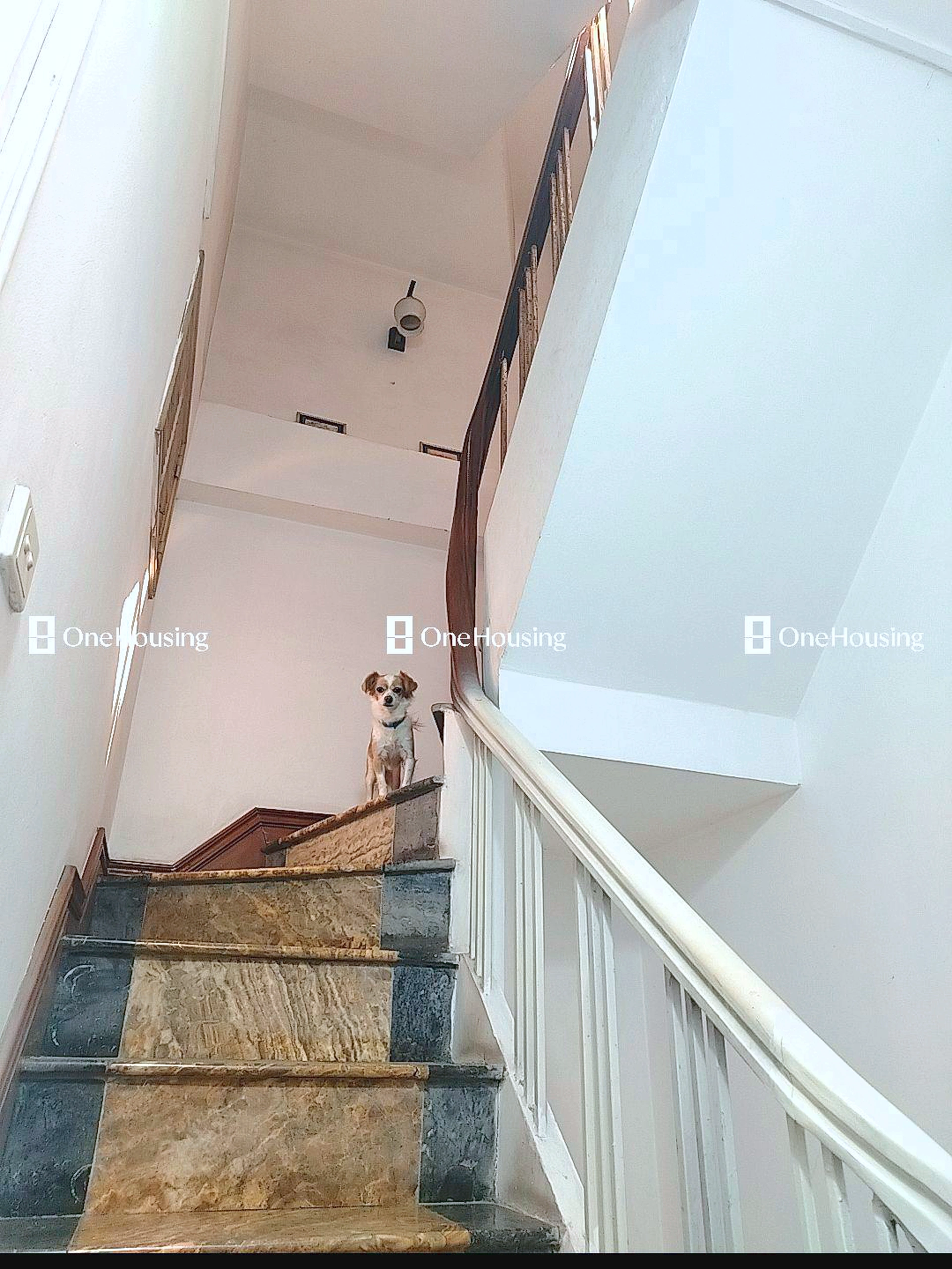 Nhà mặt phố Hồ Đắc Di, P. Nam Đồng, Q. Đống Đa, TP. Hà Nội