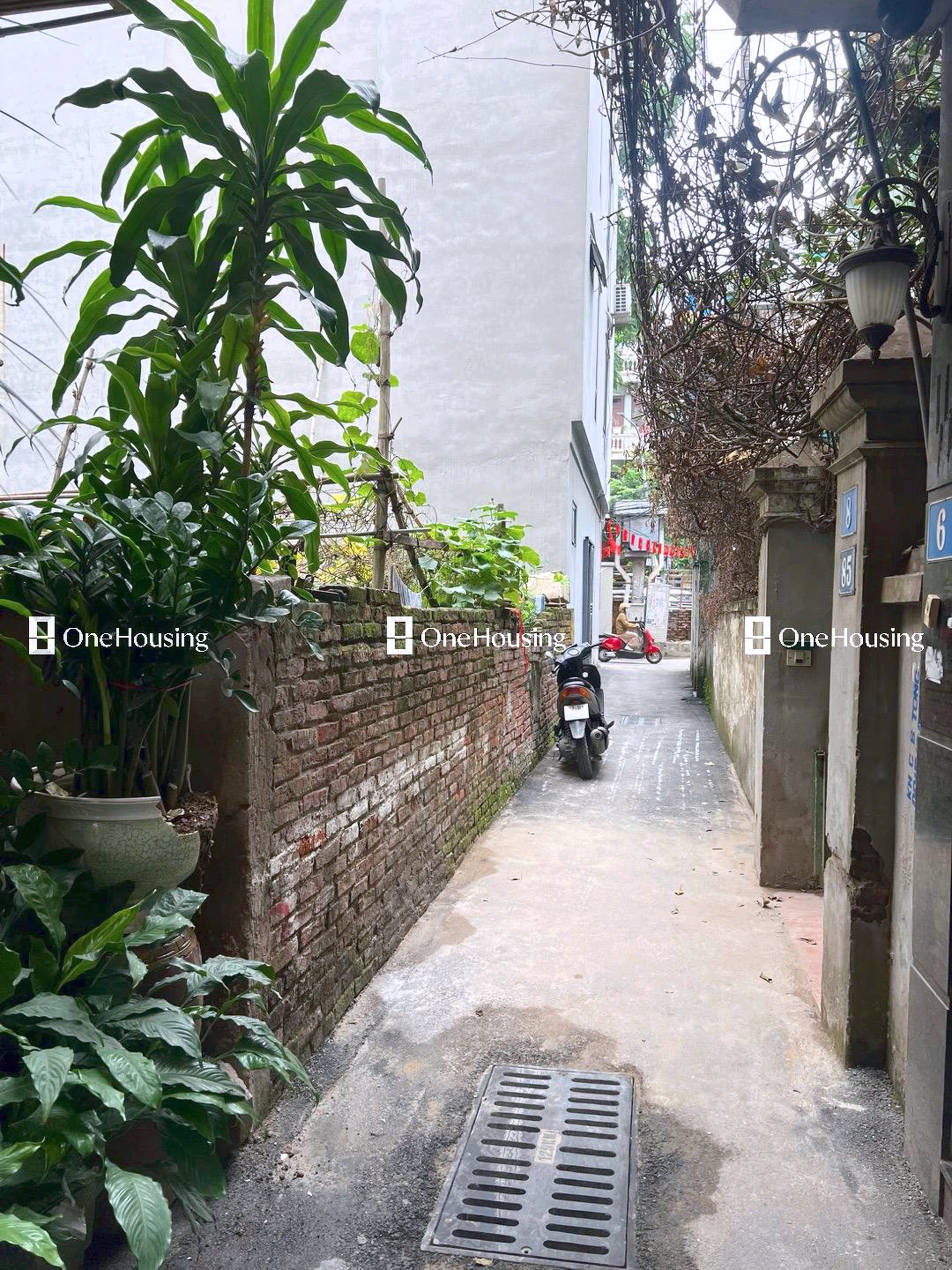 Đất nền cách Lạc Long Quân 100m, P. Nghĩa Đô, Q. Cầu Giấy, TP. Hà Nội