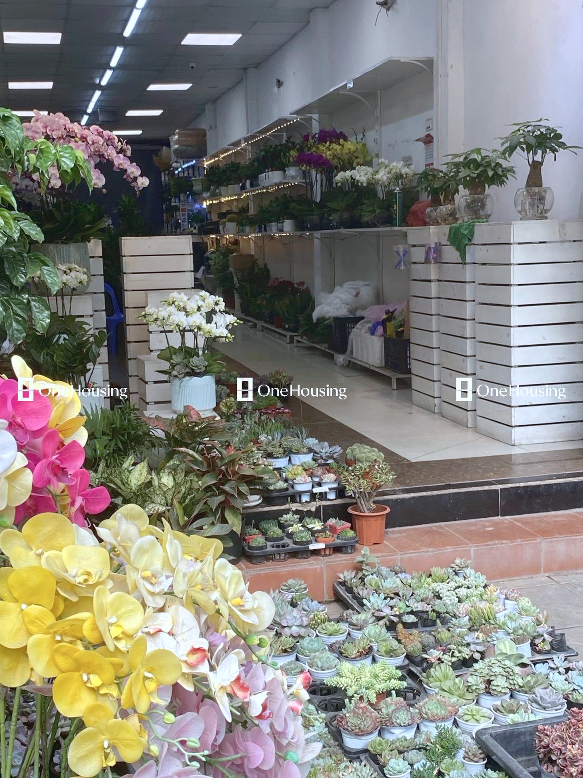 Nhà mặt phố Trung Kính, P. Yên Hòa, Q. Cầu Giấy, TP. Hà Nội