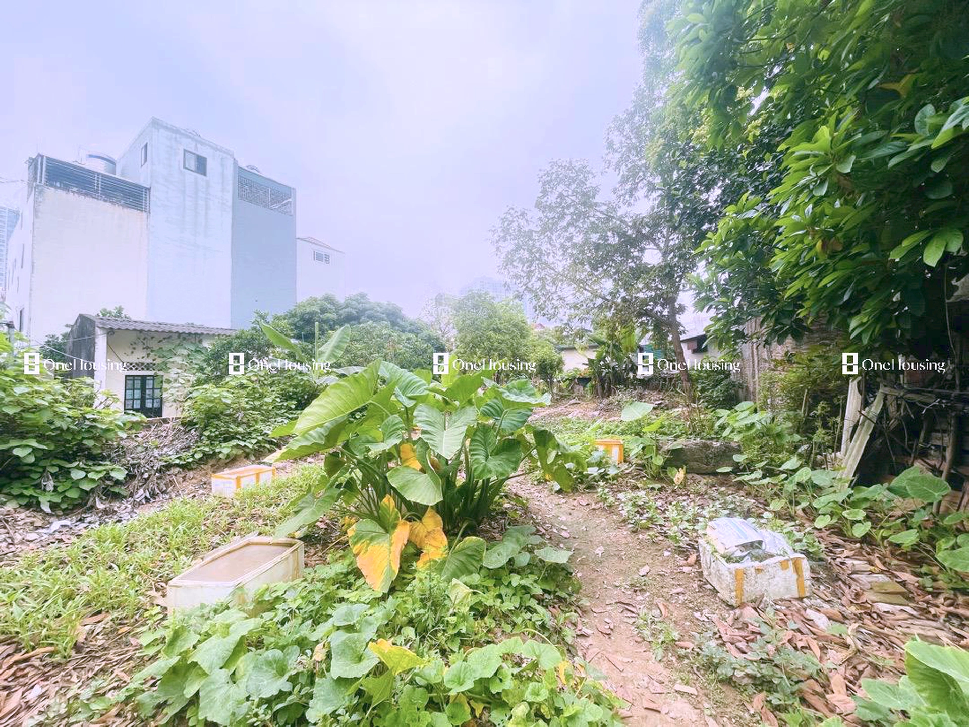 Đất nền cách Cầu Cốc 200m, P. Tây Mỗ, Q. Nam Từ Liêm, TP. Hà Nội