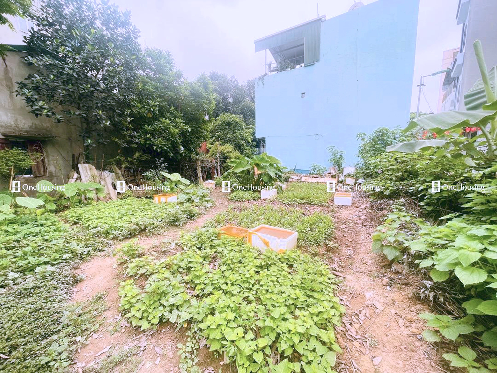 Đất nền cách Cầu Cốc 200m, P. Tây Mỗ, Q. Nam Từ Liêm, TP. Hà Nội