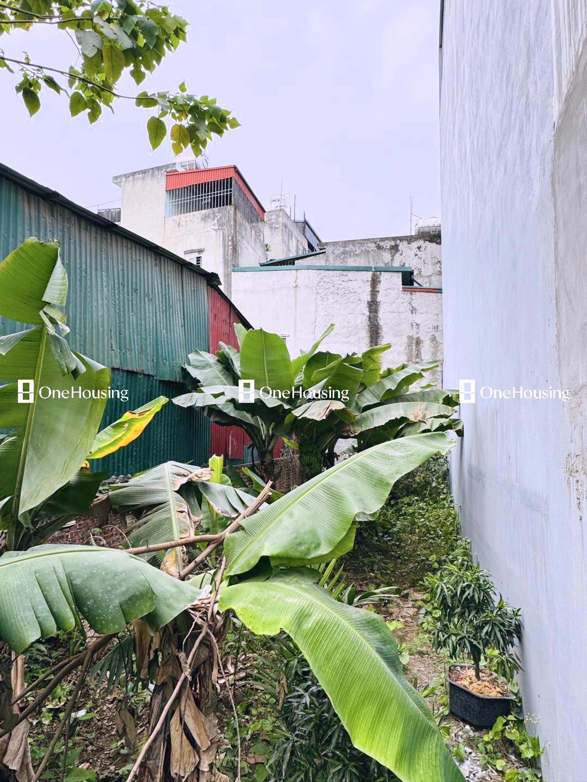 Đất nền cách Nguyễn Văn Linh 120m, P. Thạch Bàn, Q. Long Biên, TP. Hà Nội