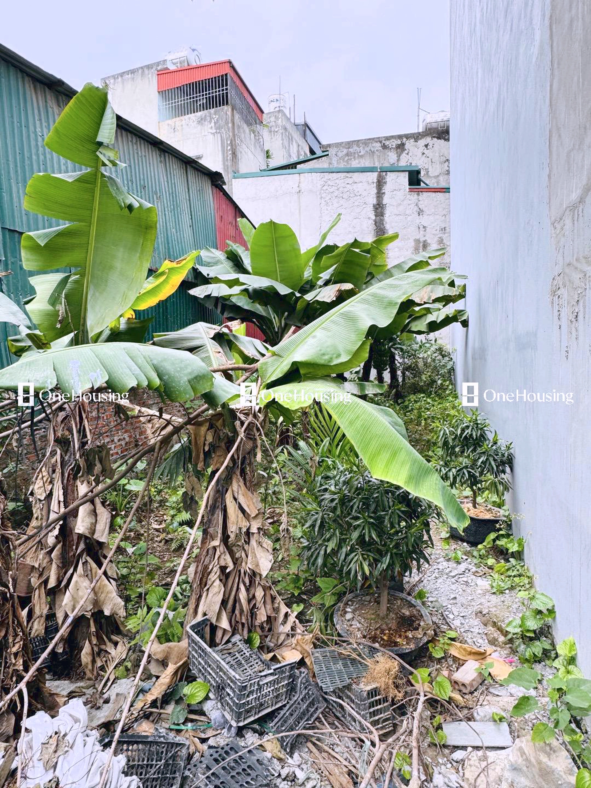 Đất nền cách Nguyễn Văn Linh 120m, P. Thạch Bàn, Q. Long Biên, TP. Hà Nội