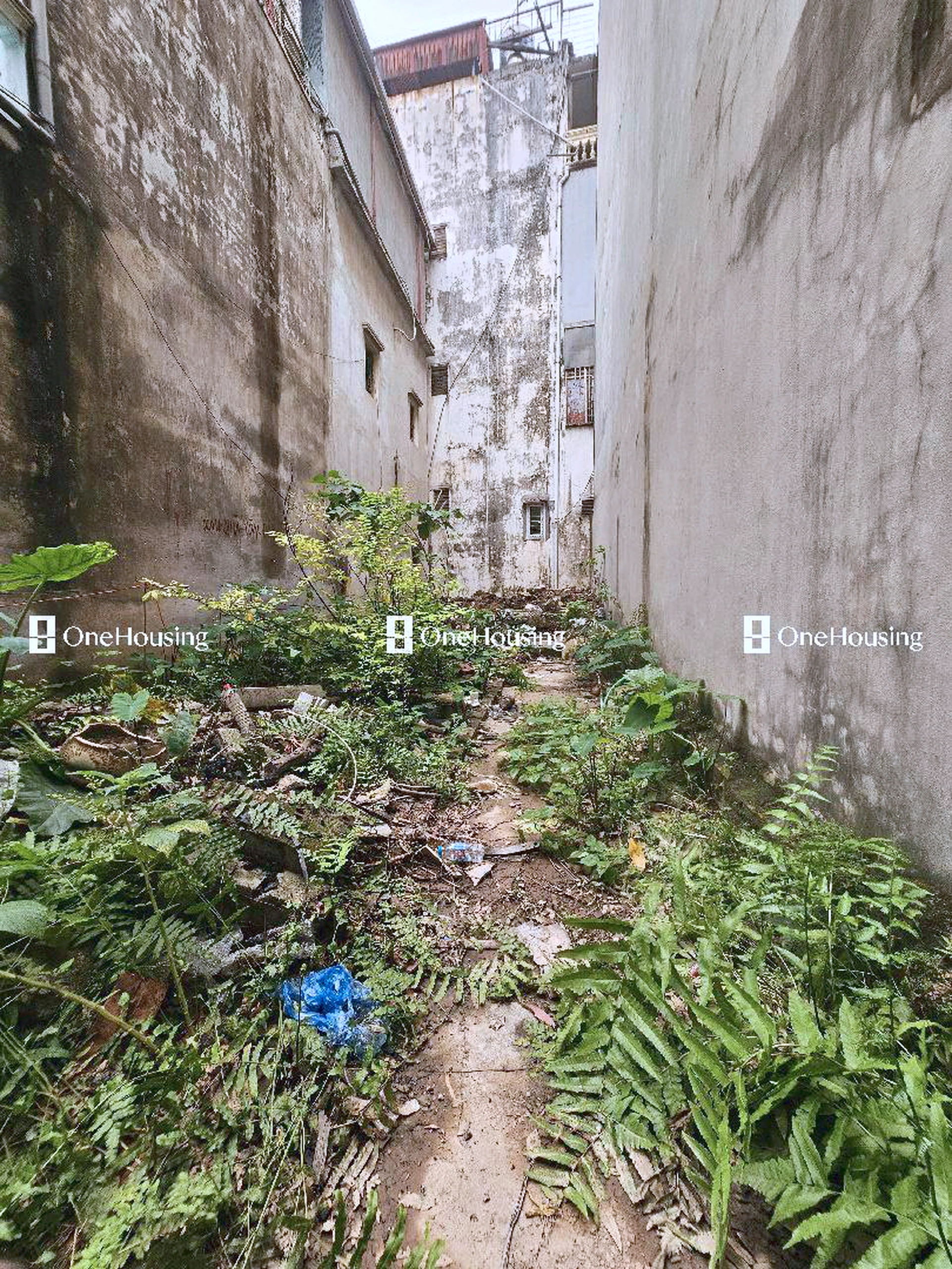 Đất nền cách Lạc Long Quân 20m, P. Xuân La, Q. Tây Hồ, TP. Hà Nội