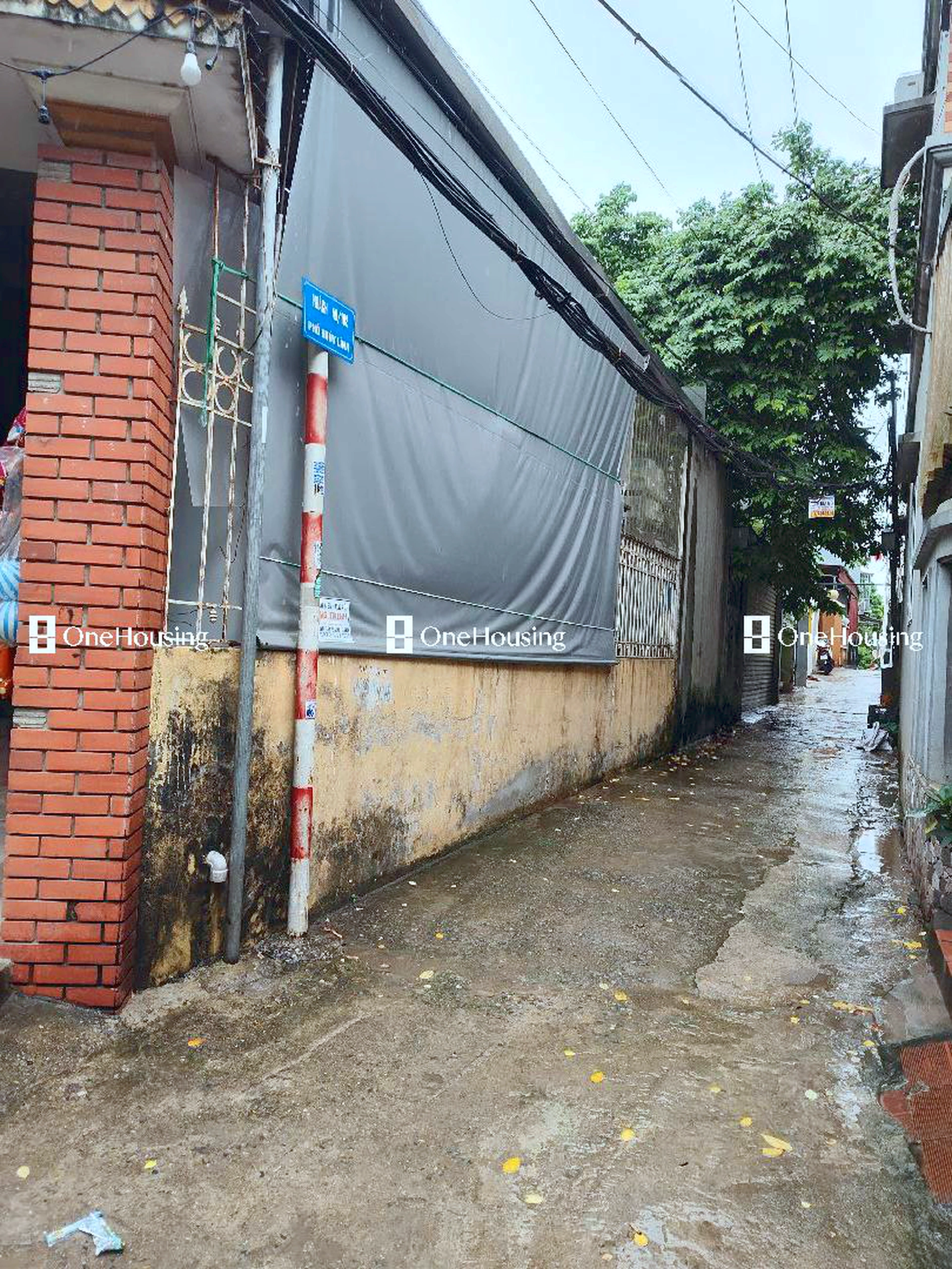 Đất nền cách Thúy Lĩnh 228.14m, P. Lĩnh Nam, Q. Hoàng Mai, TP. Hà Nội