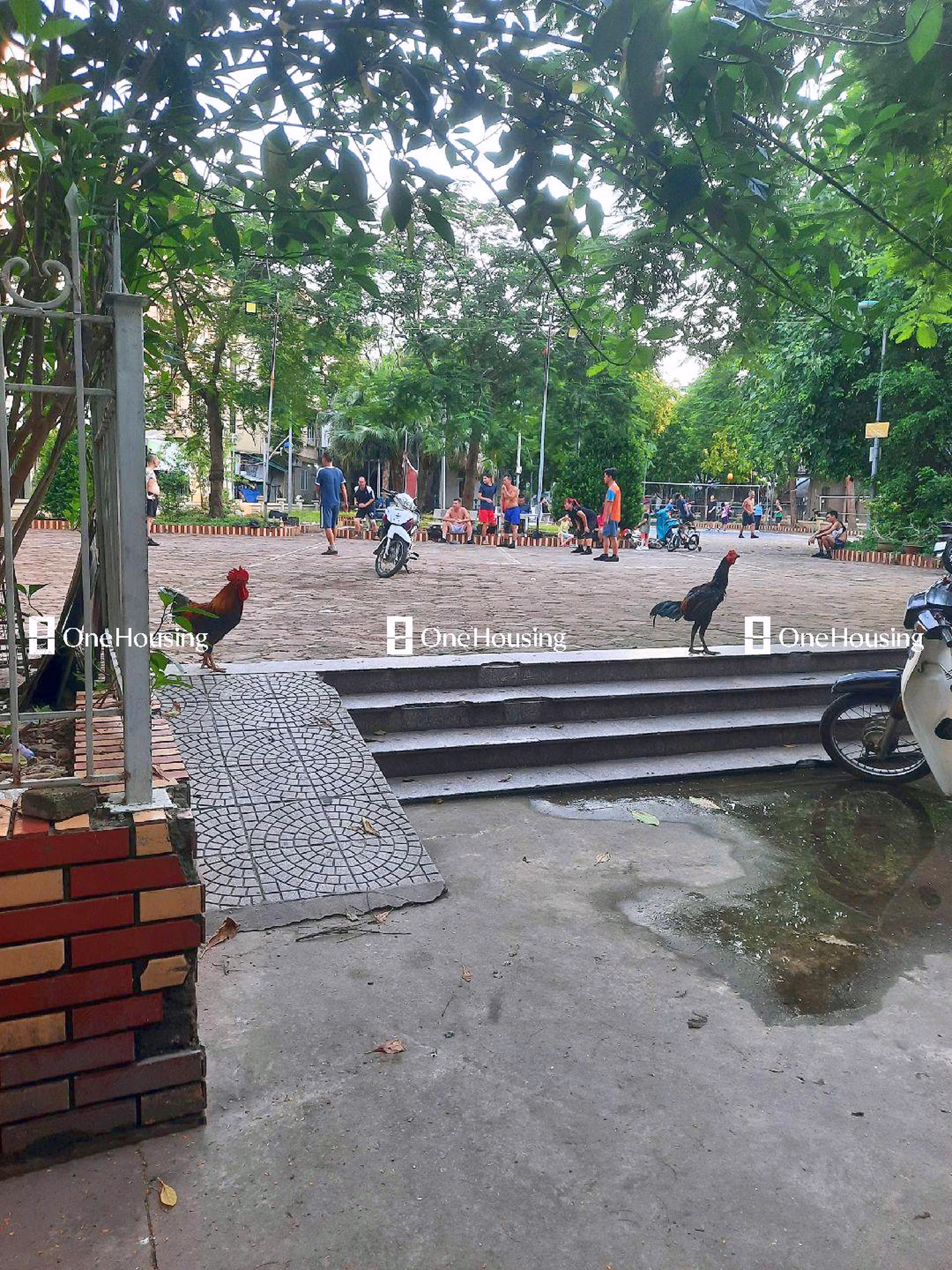 Onehousing image