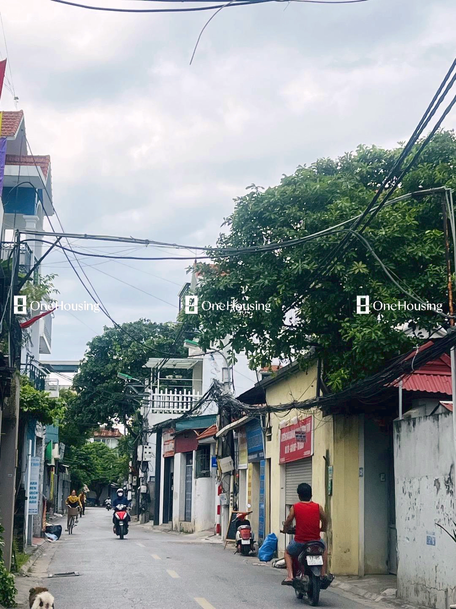 Nhà mặt ngõ cách Bắc Cầu 5m, P. Ngọc Thụy, Q. Long Biên, TP. Hà Nội