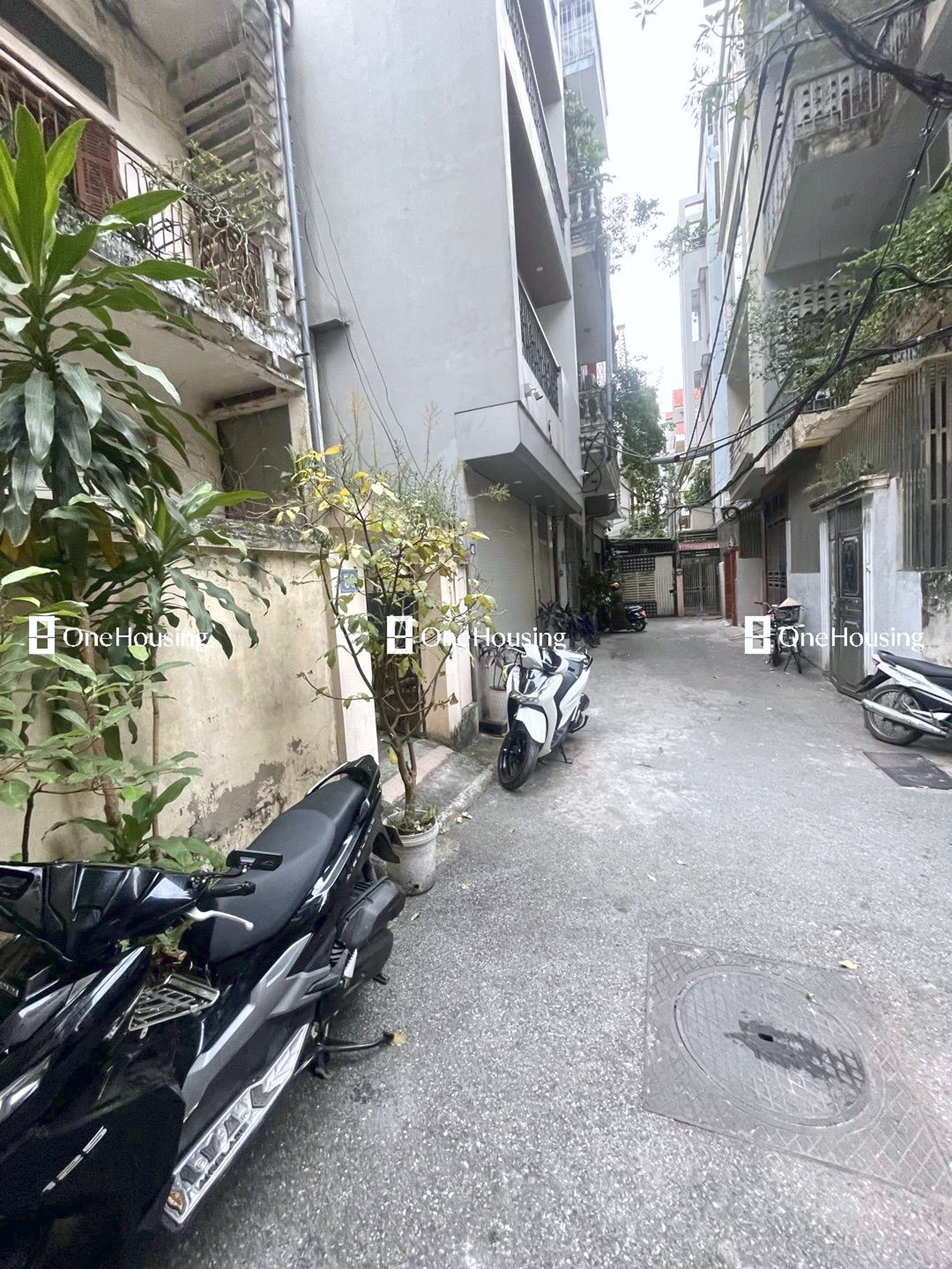 Nhà mặt ngõ cách Hoàng Quốc Việt 20m, P. Nghĩa Đô, Q. Cầu Giấy, TP. Hà Nội