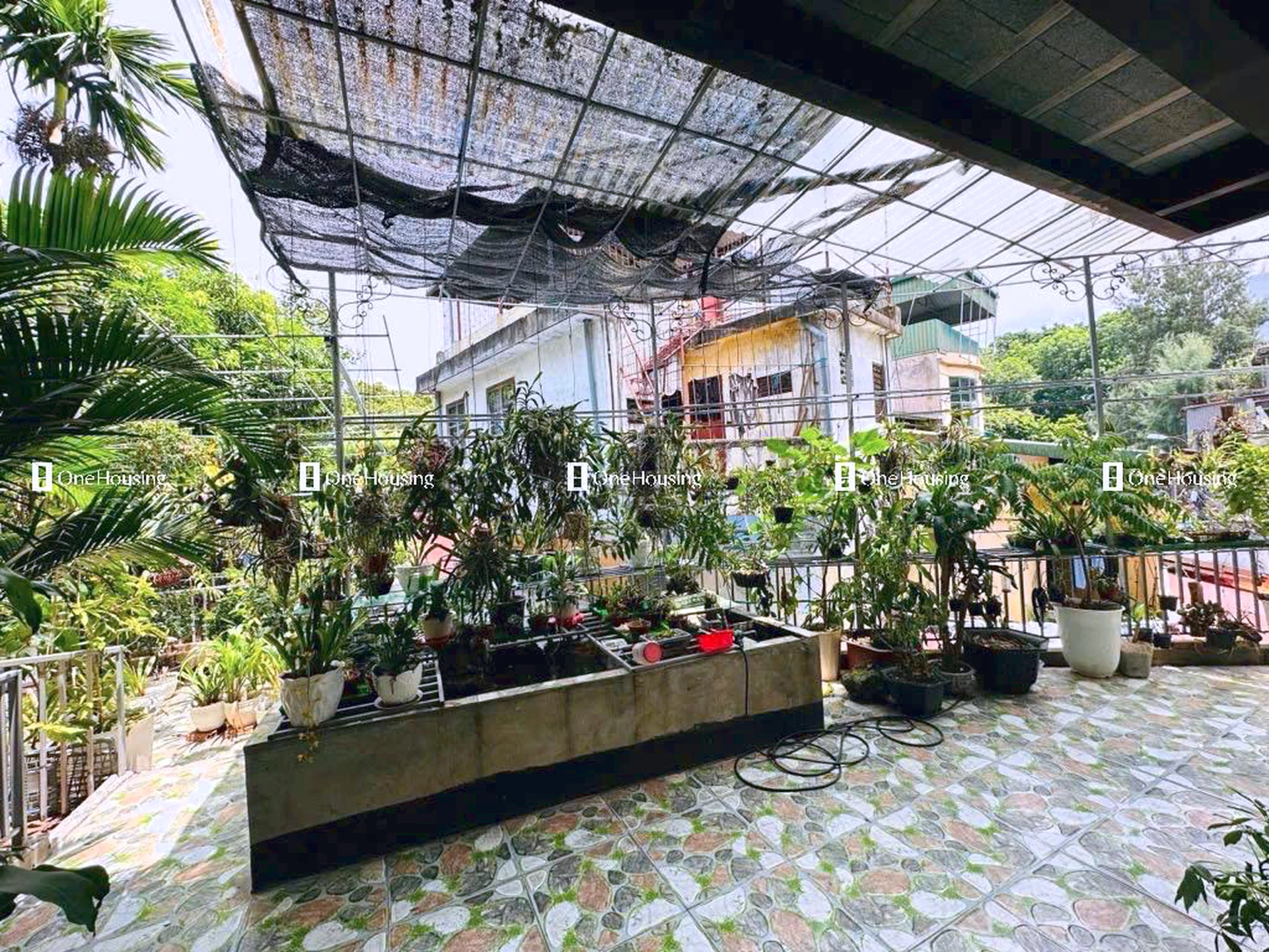 Nhà mặt ngõ cách Phạm Ngọc Thạch 80m, P. Kim Liên, Q. Đống Đa, TP. Hà Nội