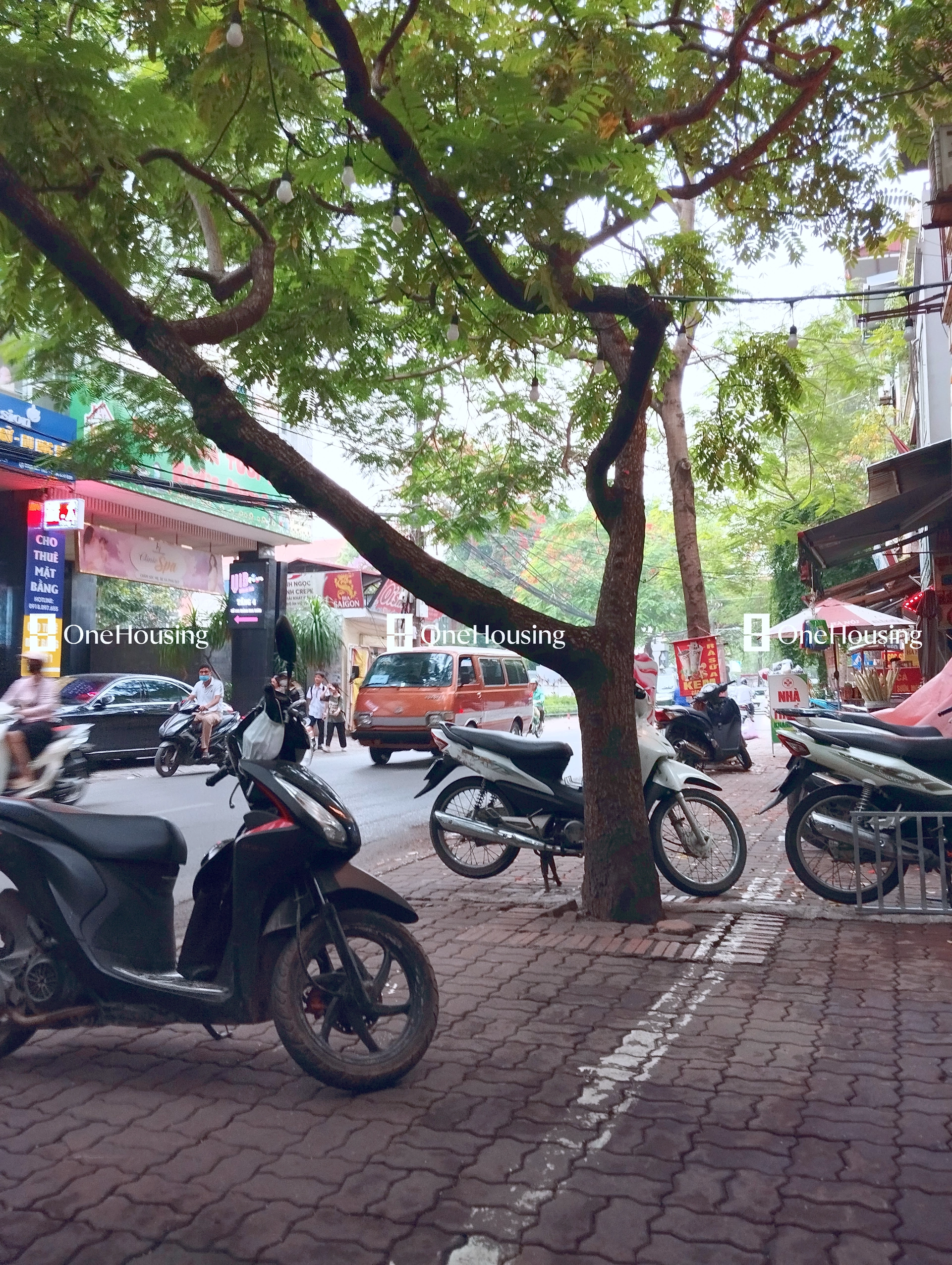 Nhà mặt phố Hoàng Hoa Thám, P. Bưởi, Q. Tây Hồ, TP. Hà Nội