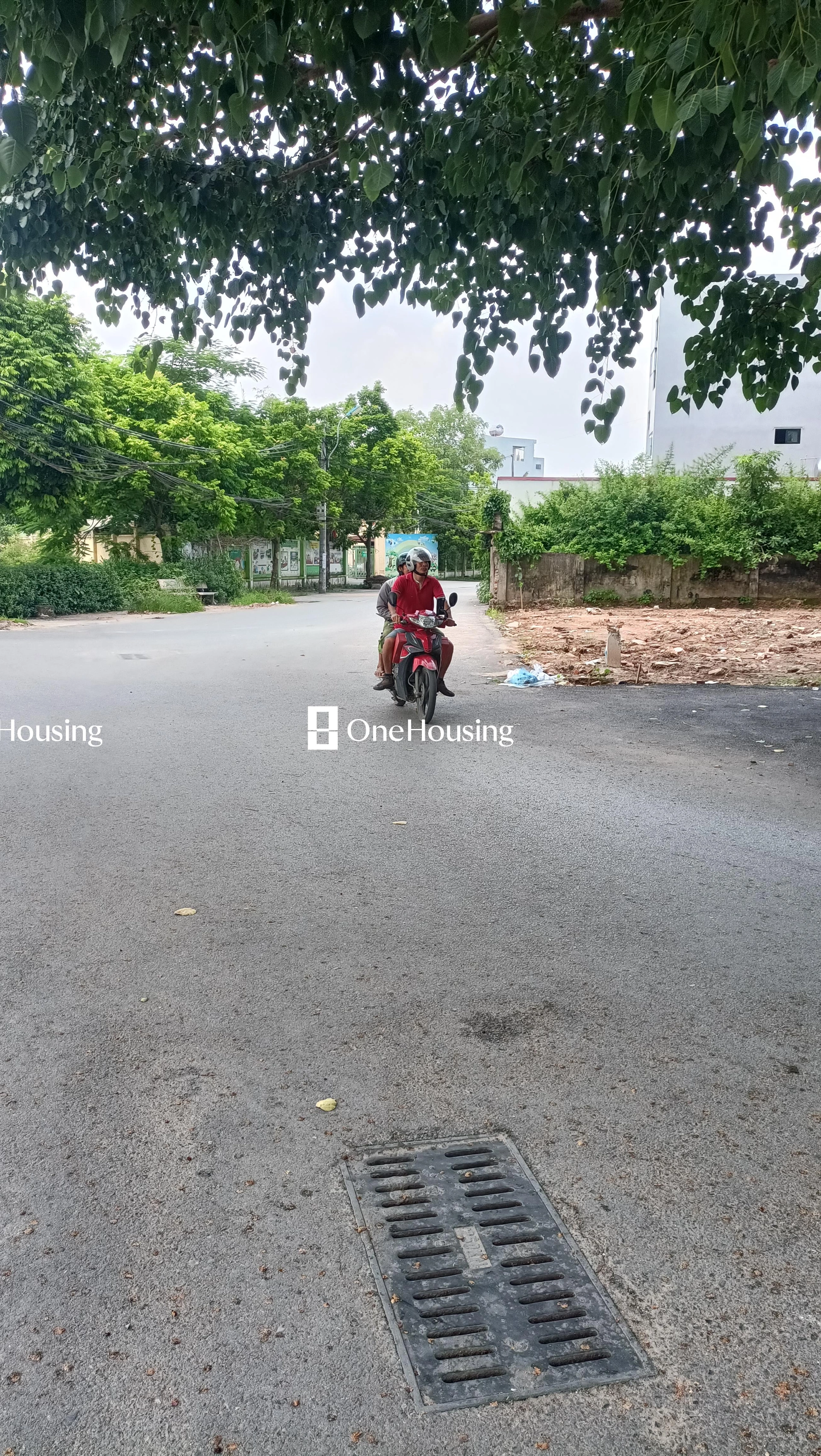 Đất nền cách Đường nối Tứ Hiệp đến Ngũ Hiệp 5m, X. Tứ Hiệp, H. Thanh Trì, TP. Hà Nội