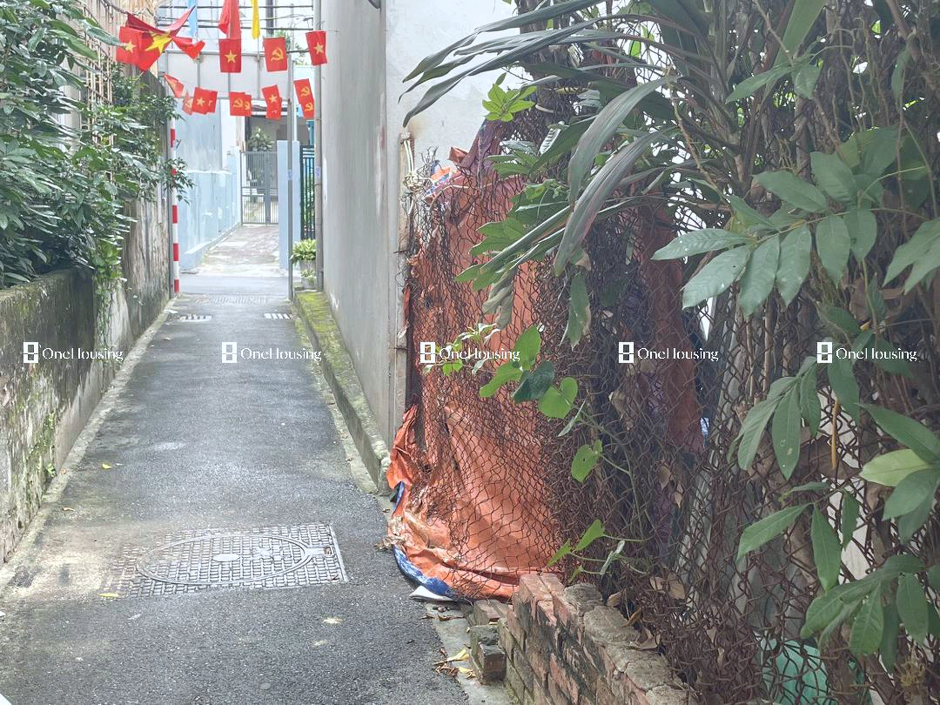 Đất nền cách Tứ Liên 100m, P. Tứ Liên, Q. Tây Hồ, TP. Hà Nội