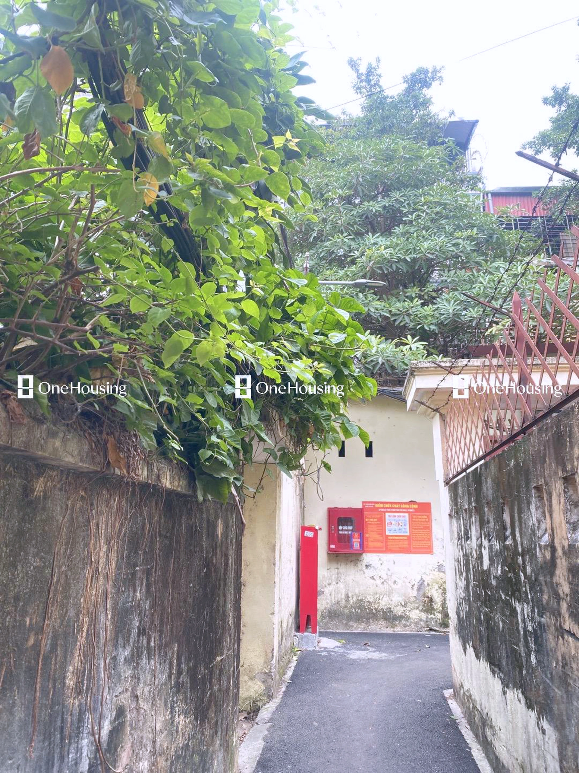 Nhà mặt ngõ cách Thụy Khuê 50m, P. Bưởi, Q. Tây Hồ, TP. Hà Nội