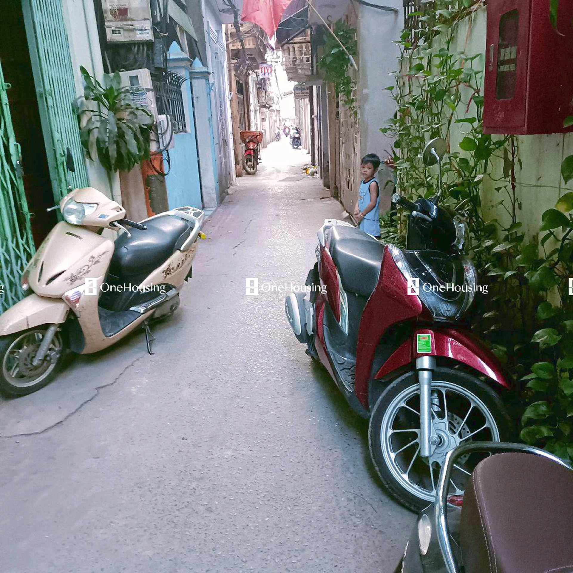 Onehousing image